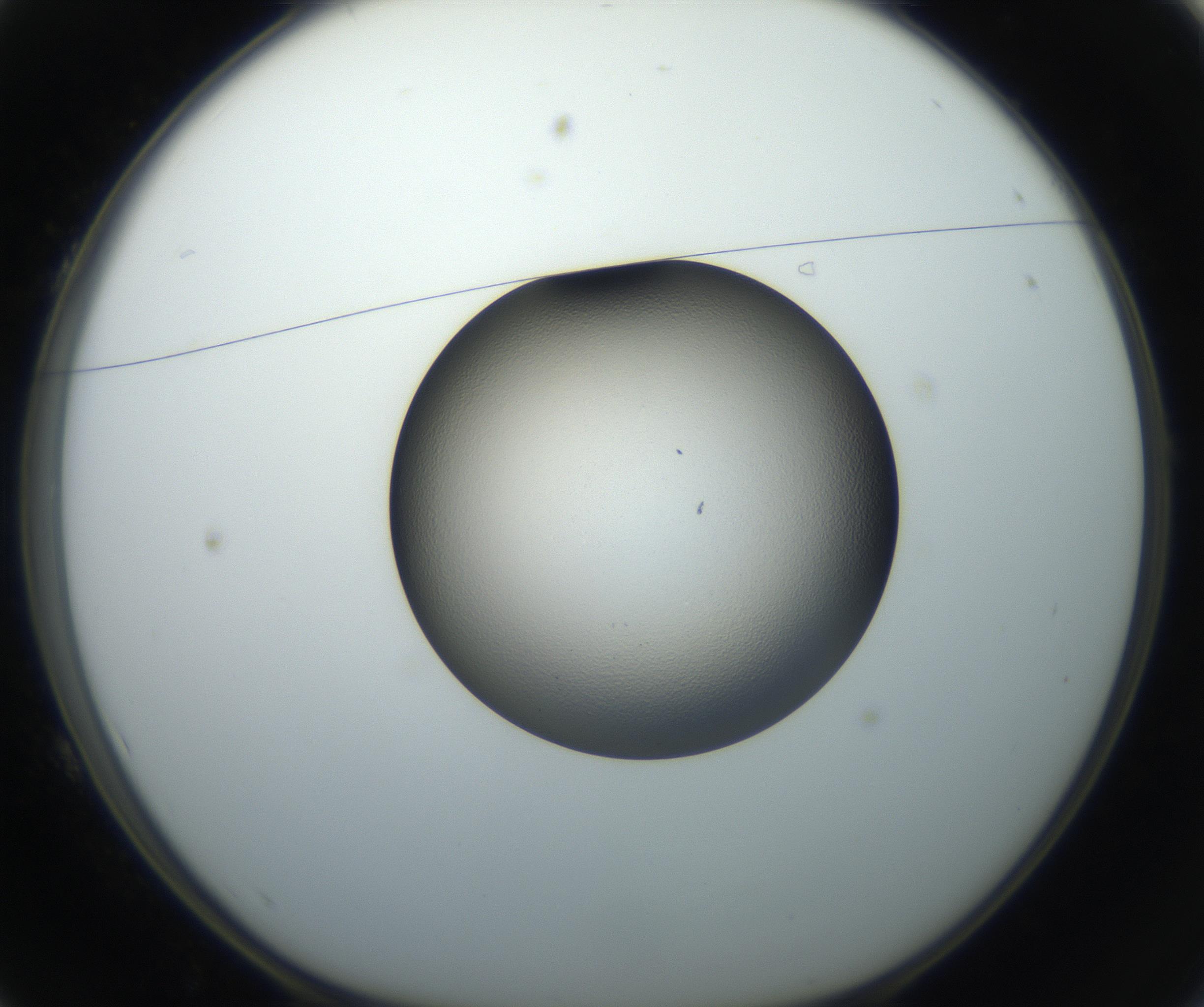 RI01_03_000_0212_Proj1_Clon1_MC_0000MC102709_002_160903_01_01_01_00_99_002_001_RAI.jpg