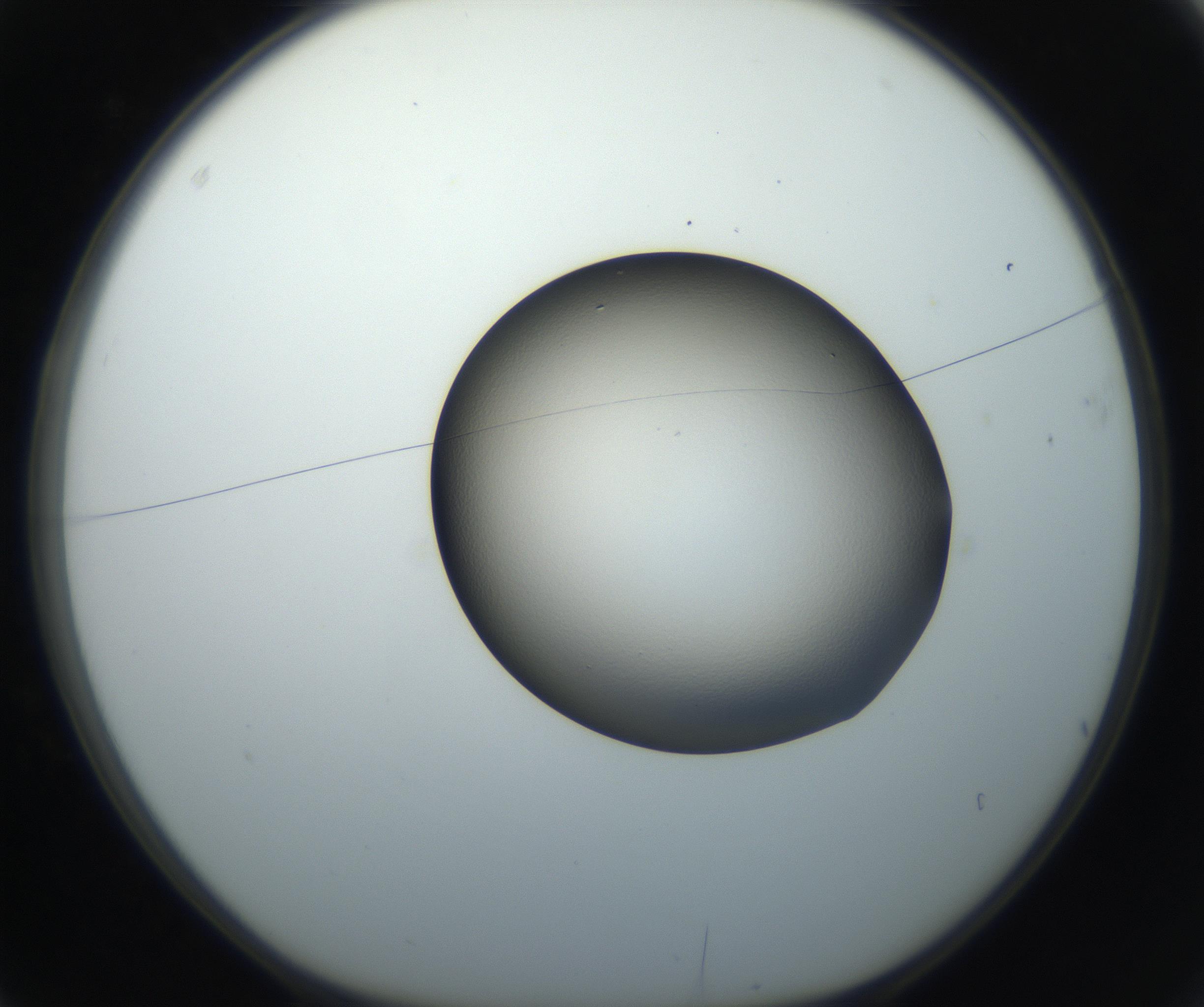 RI01_03_000_0212_Proj1_Clon1_MC_0000MC102709_002_160903_03_01_01_00_99_002_001_RAI.jpg