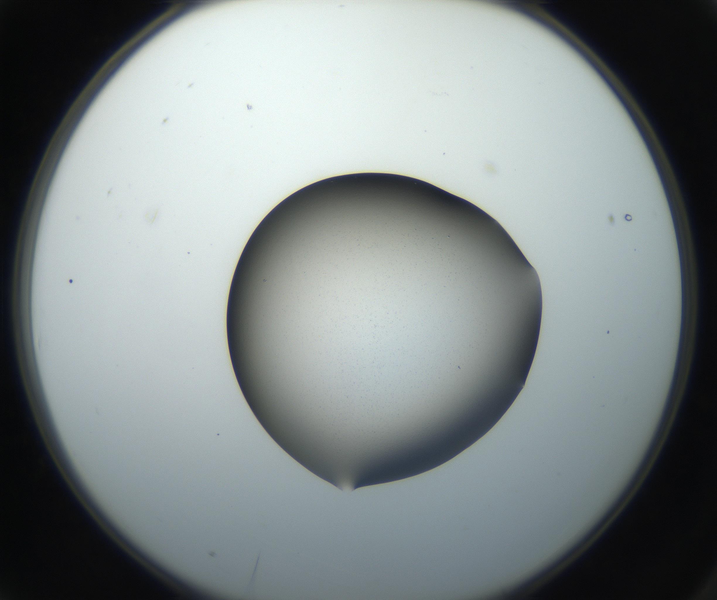 RI01_03_000_0212_Proj1_Clon1_MC_0000MC102709_002_160903_03_01_02_00_99_002_001_RAI.jpg