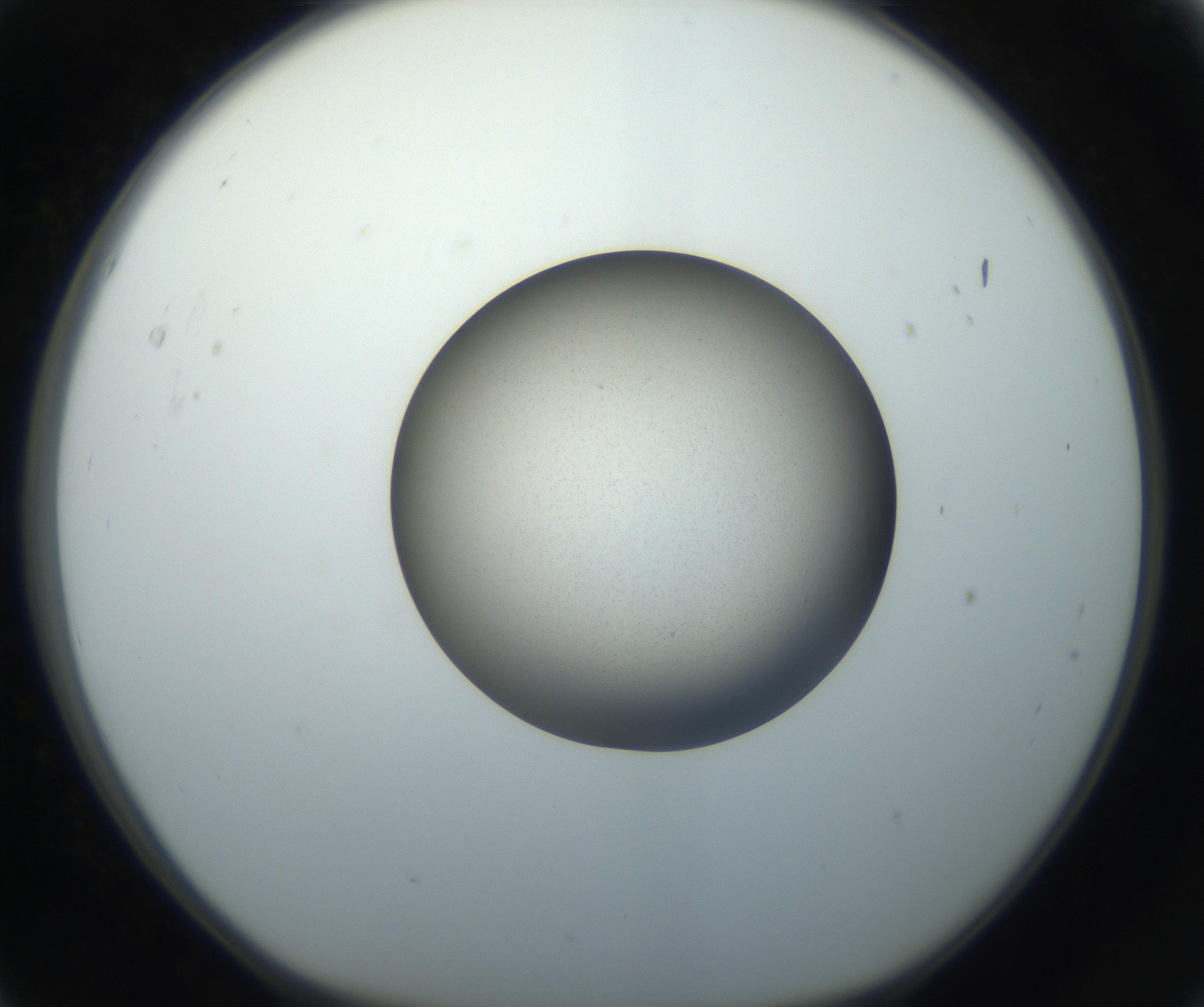 RI01_03_000_0212_Proj1_Clon1_MC_0000MC102709_002_160903_05_01_01_00_99_002_001_RAI.jpg