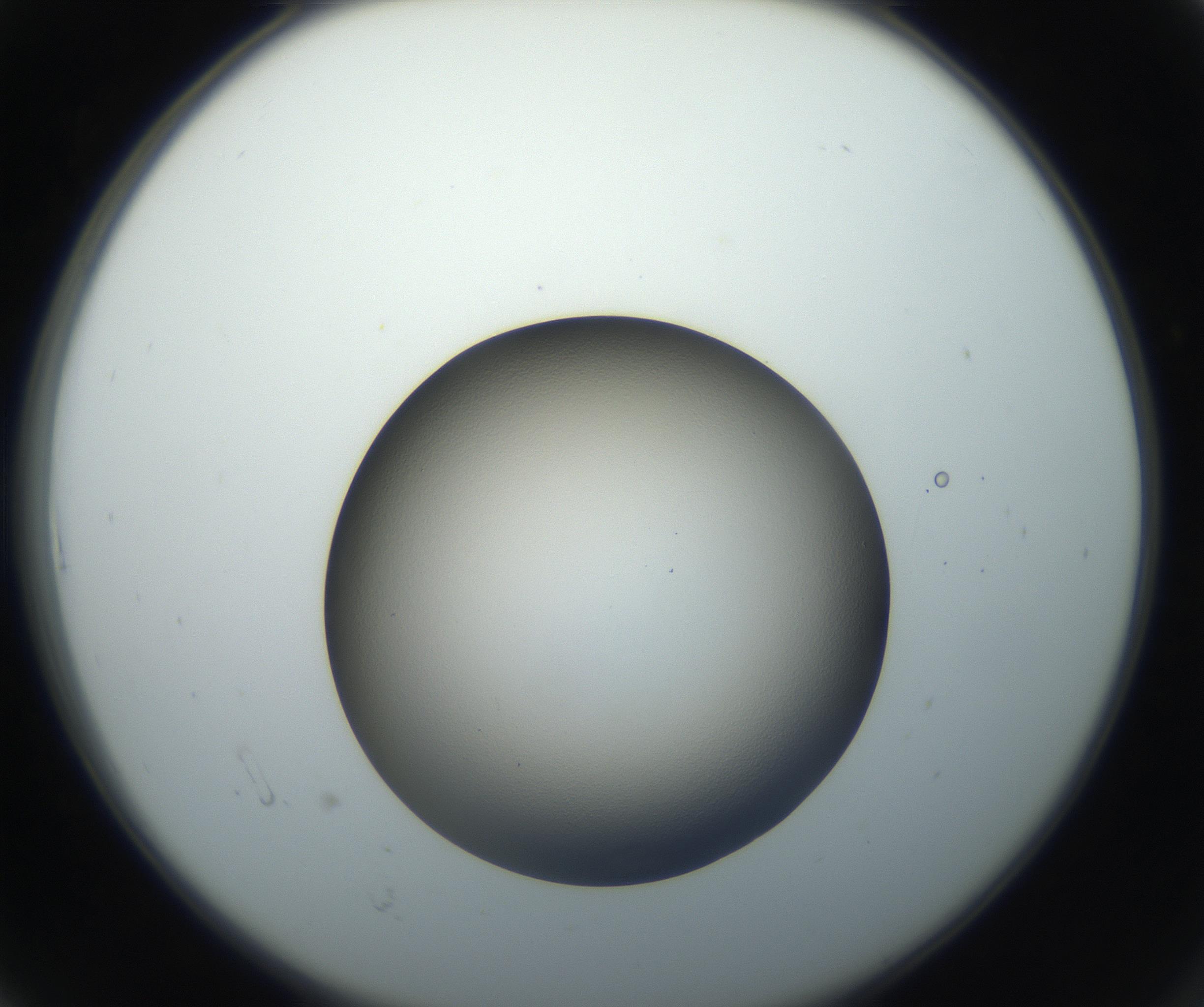 RI01_03_000_0212_Proj1_Clon1_MC_0000MC102709_002_160903_06_01_02_00_99_002_001_RAI.jpg