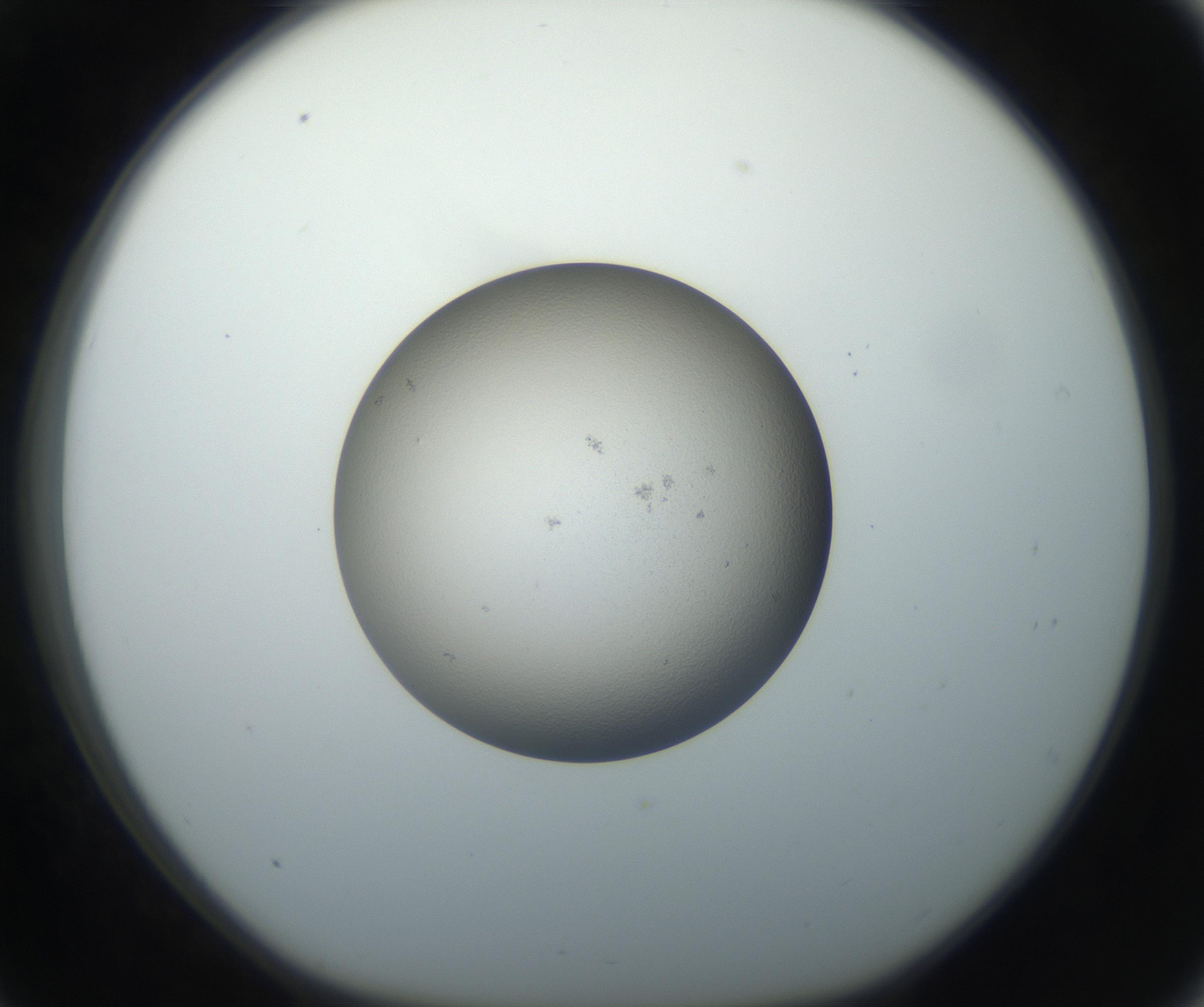 RI01_03_000_0212_Proj1_Clon1_MC_0000MC102709_003_160905_09_03_01_00_99_002_001_RAI.jpg