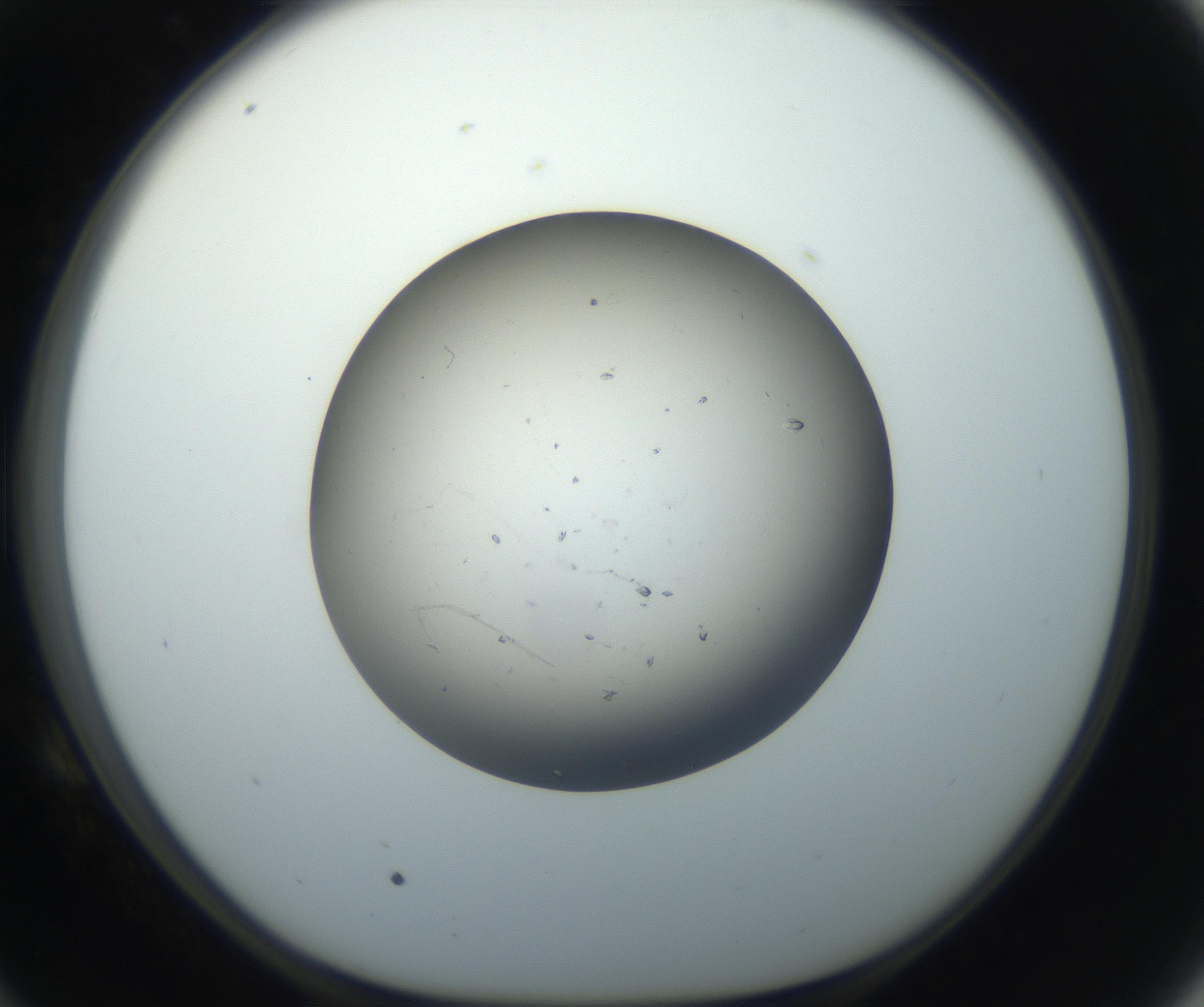 RI01_03_000_0212_Proj1_Clon1_MC_0000MC102711_002_160909_10_05_01_00_99_002_001_RAI.jpg