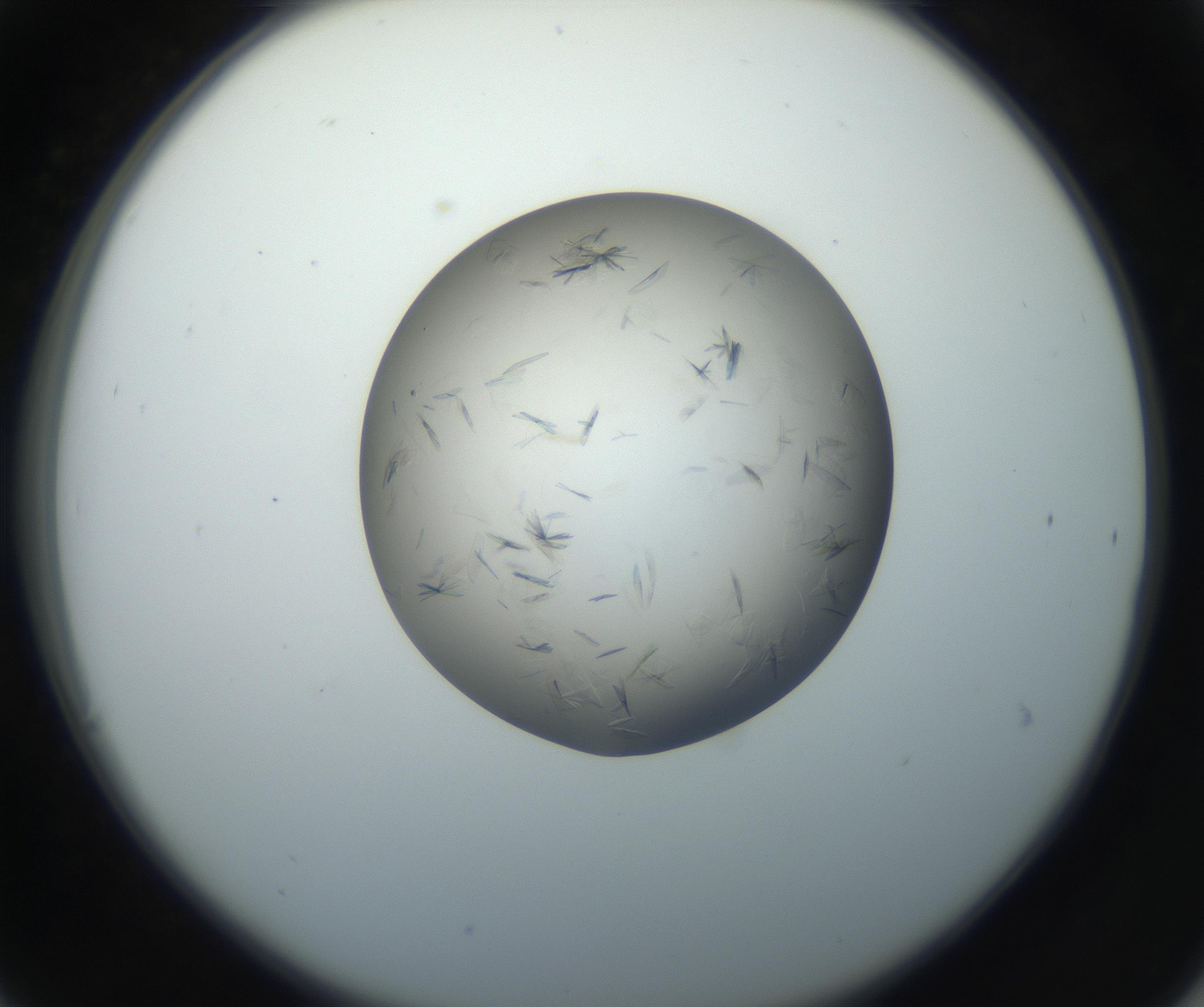 RI01_03_000_0212_Proj1_Clon1_MC_0000MC102716_003_160916_06_03_02_00_99_002_001_RAI.jpg
