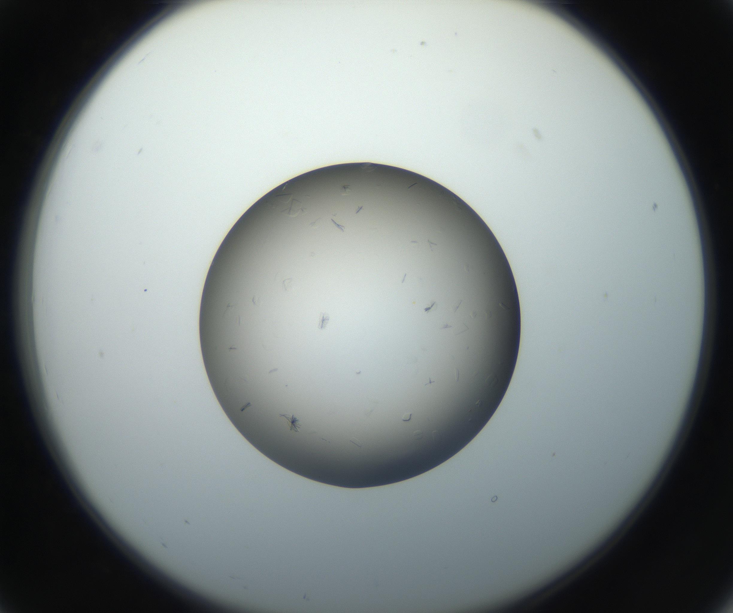 RI01_03_000_0212_Proj1_Clon1_MC_0000MC102716_003_160916_07_02_02_00_99_002_001_RAI.jpg