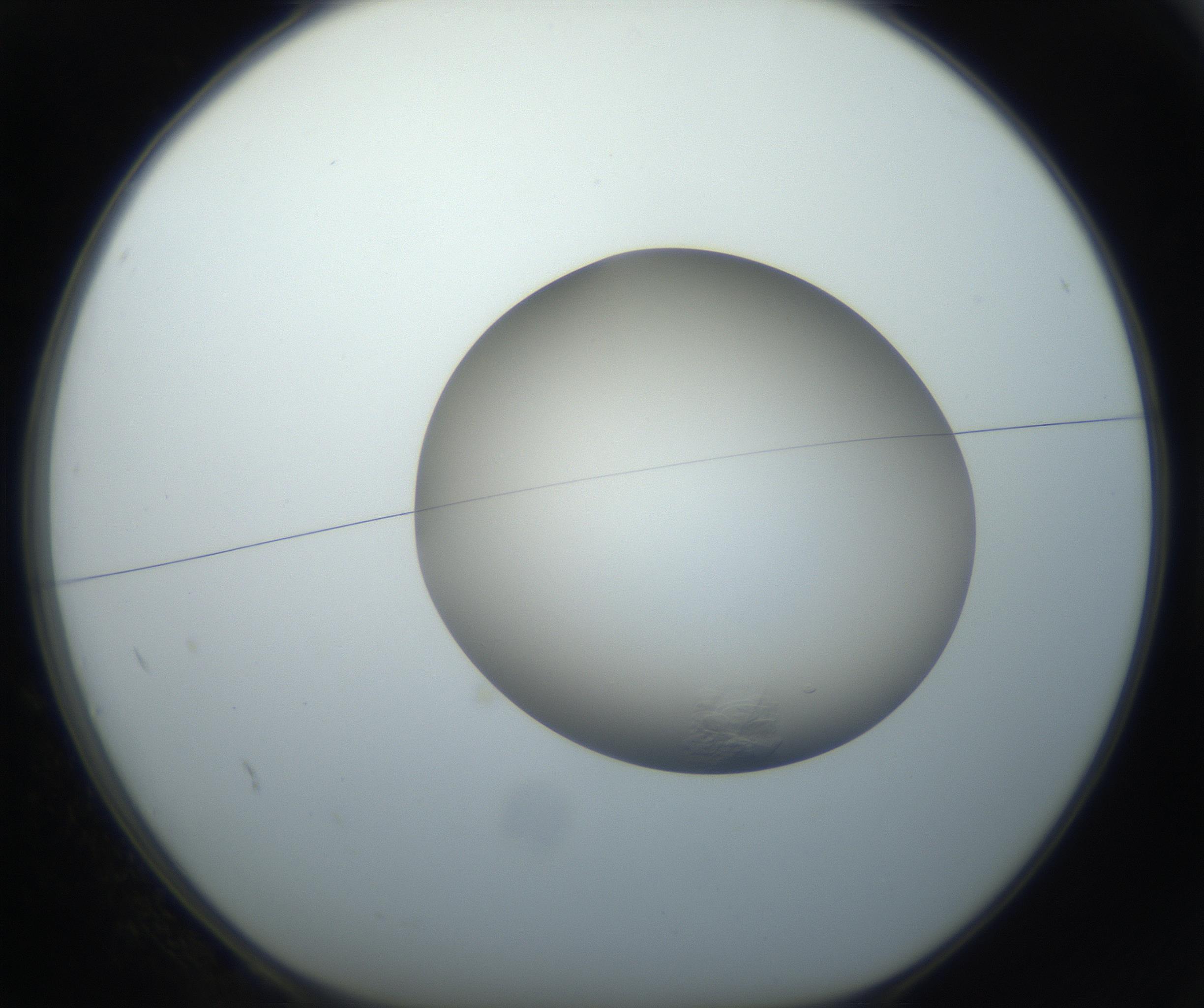 RI01_03_000_0212_Proj1_Clon1_MC_0000MC102716_004_160921_02_01_01_00_99_002_001_RAI.jpg