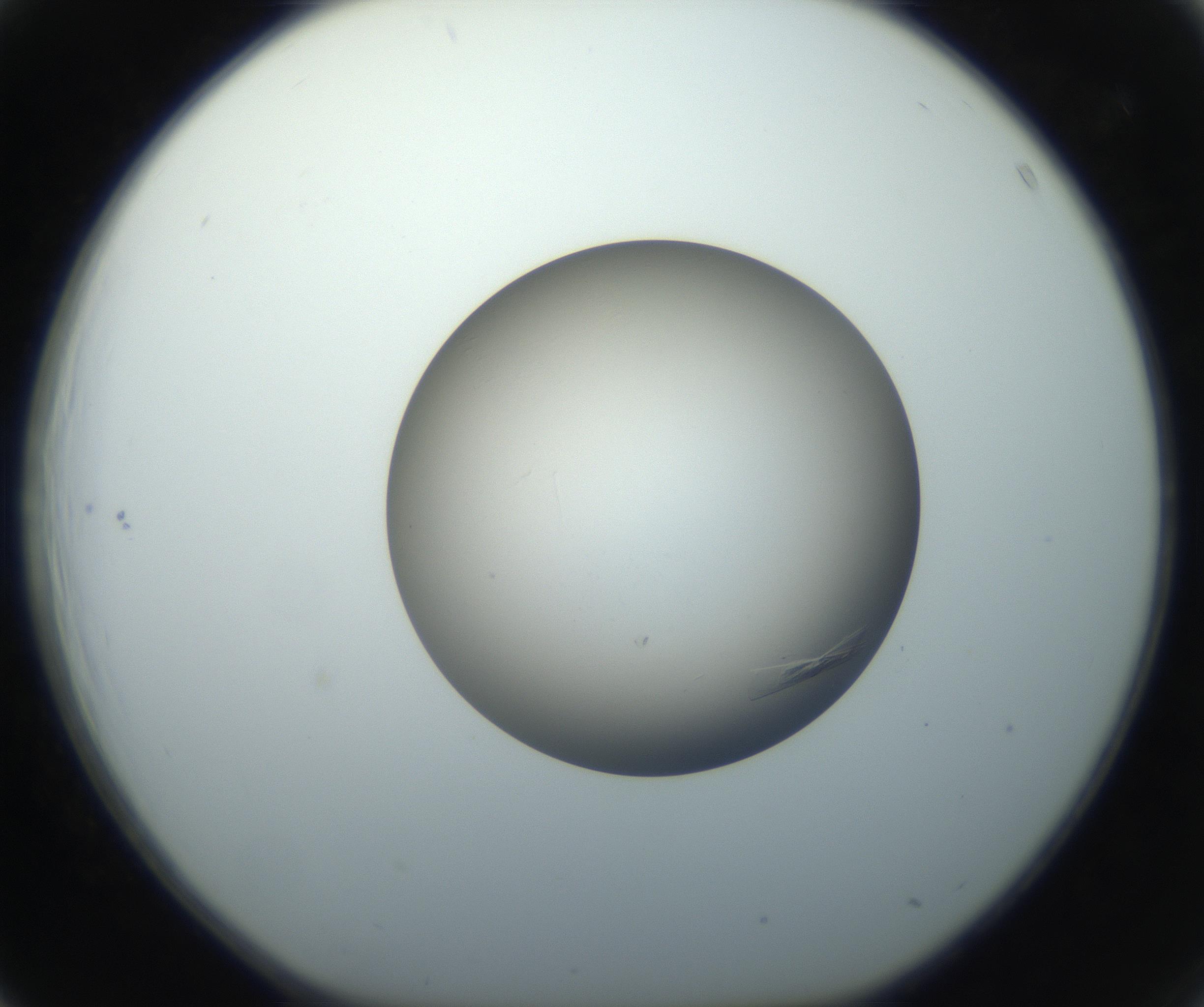 RI01_03_000_0212_Proj1_Clon1_MC_0000MC102716_004_160921_03_04_01_00_99_002_001_RAI.jpg