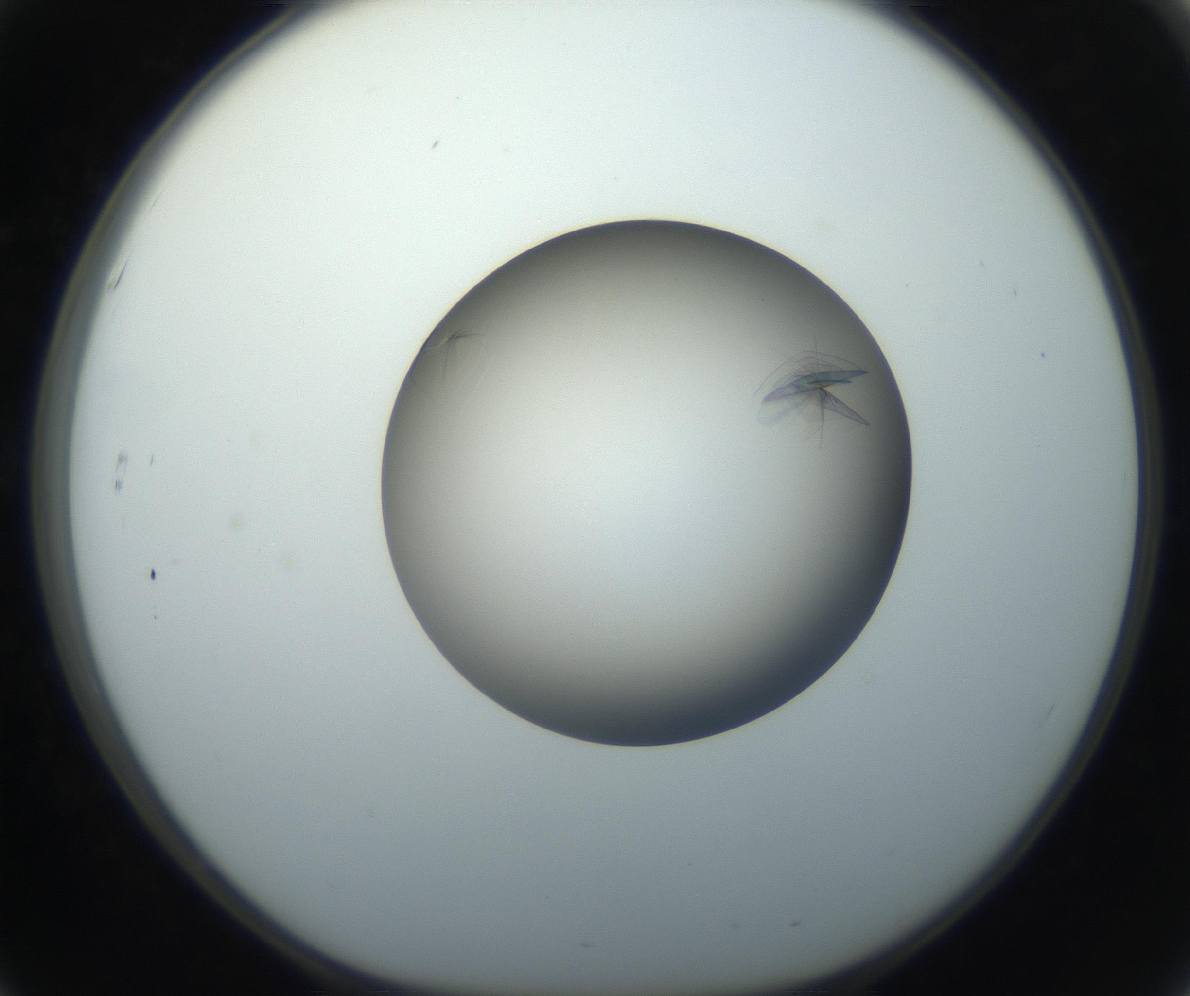 RI01_03_000_0212_Proj1_Clon1_MC_0000MC102716_004_160921_03_05_01_00_99_002_001_RAI.jpg