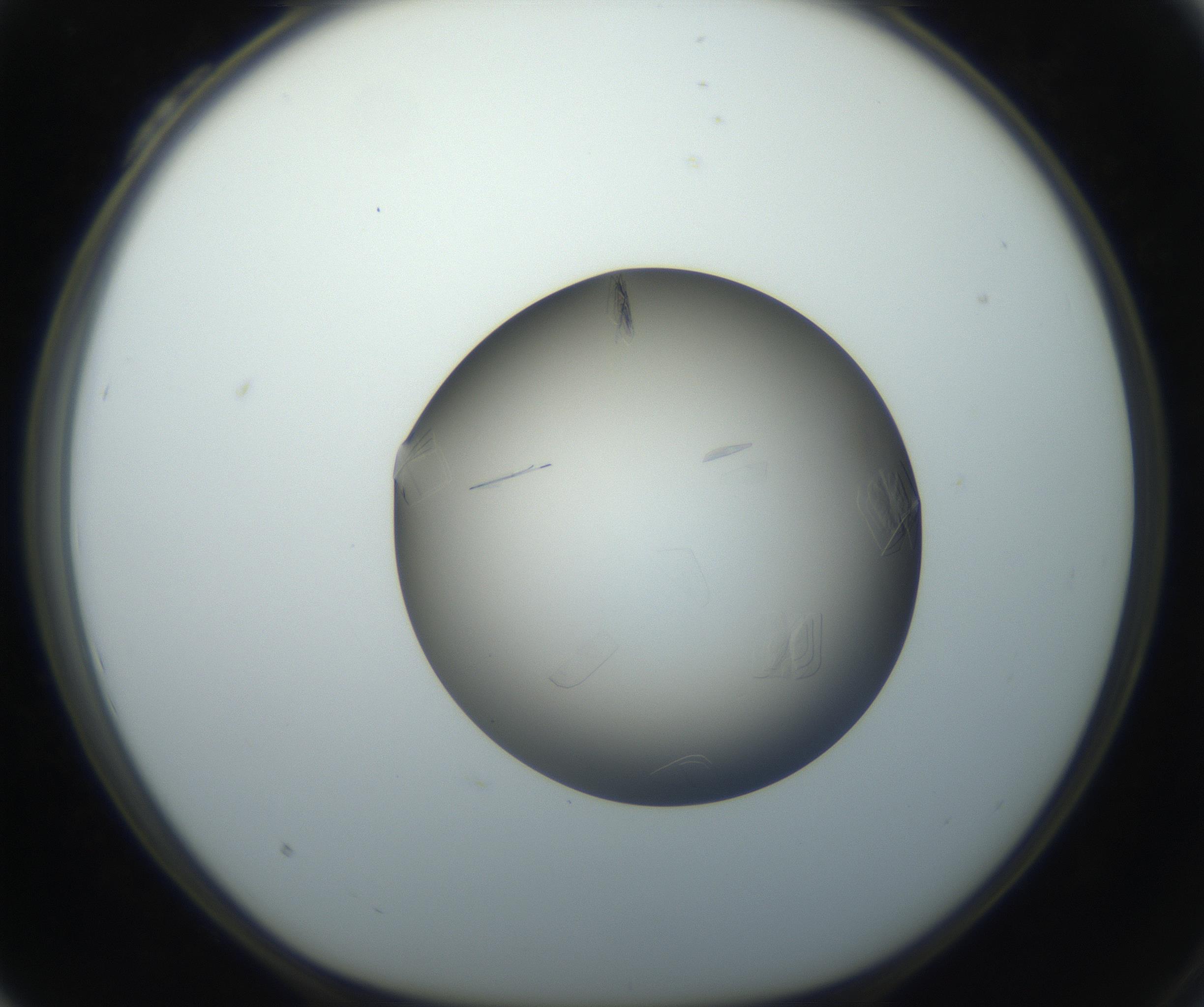 RI01_03_000_0212_Proj1_Clon1_MC_0000MC102716_004_160921_04_03_01_00_99_002_001_RAI.jpg
