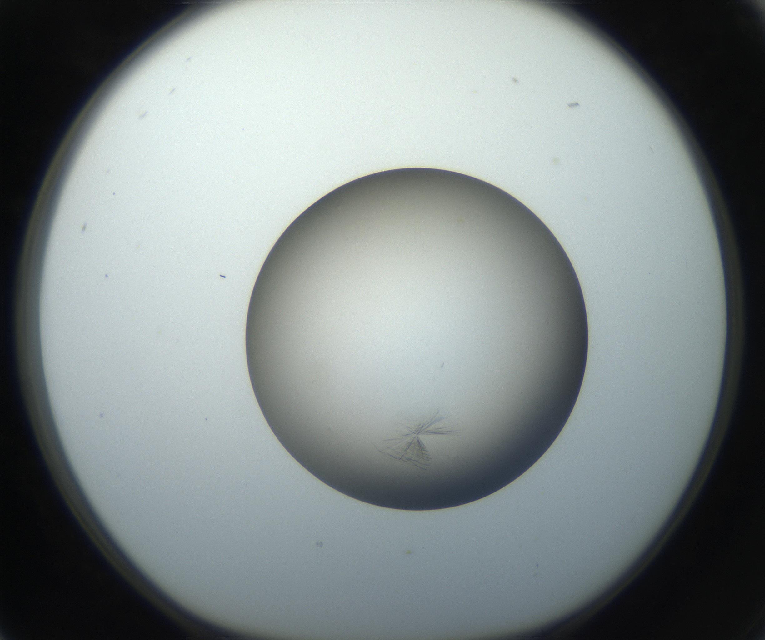 RI01_03_000_0212_Proj1_Clon1_MC_0000MC102716_004_160921_05_02_01_00_99_002_001_RAI.jpg
