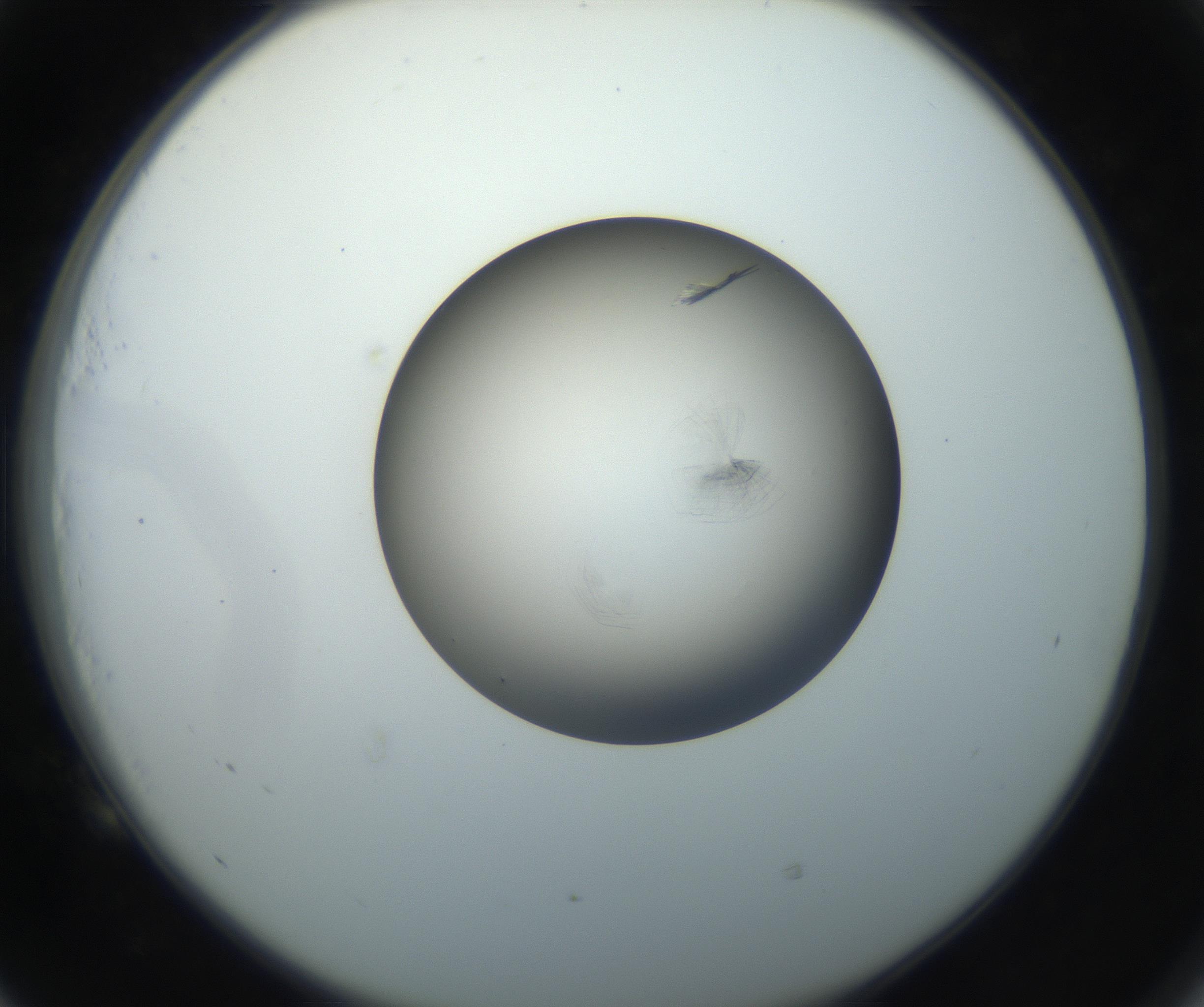 RI01_03_000_0212_Proj1_Clon1_MC_0000MC102716_004_160921_05_05_02_00_99_002_001_RAI.jpg