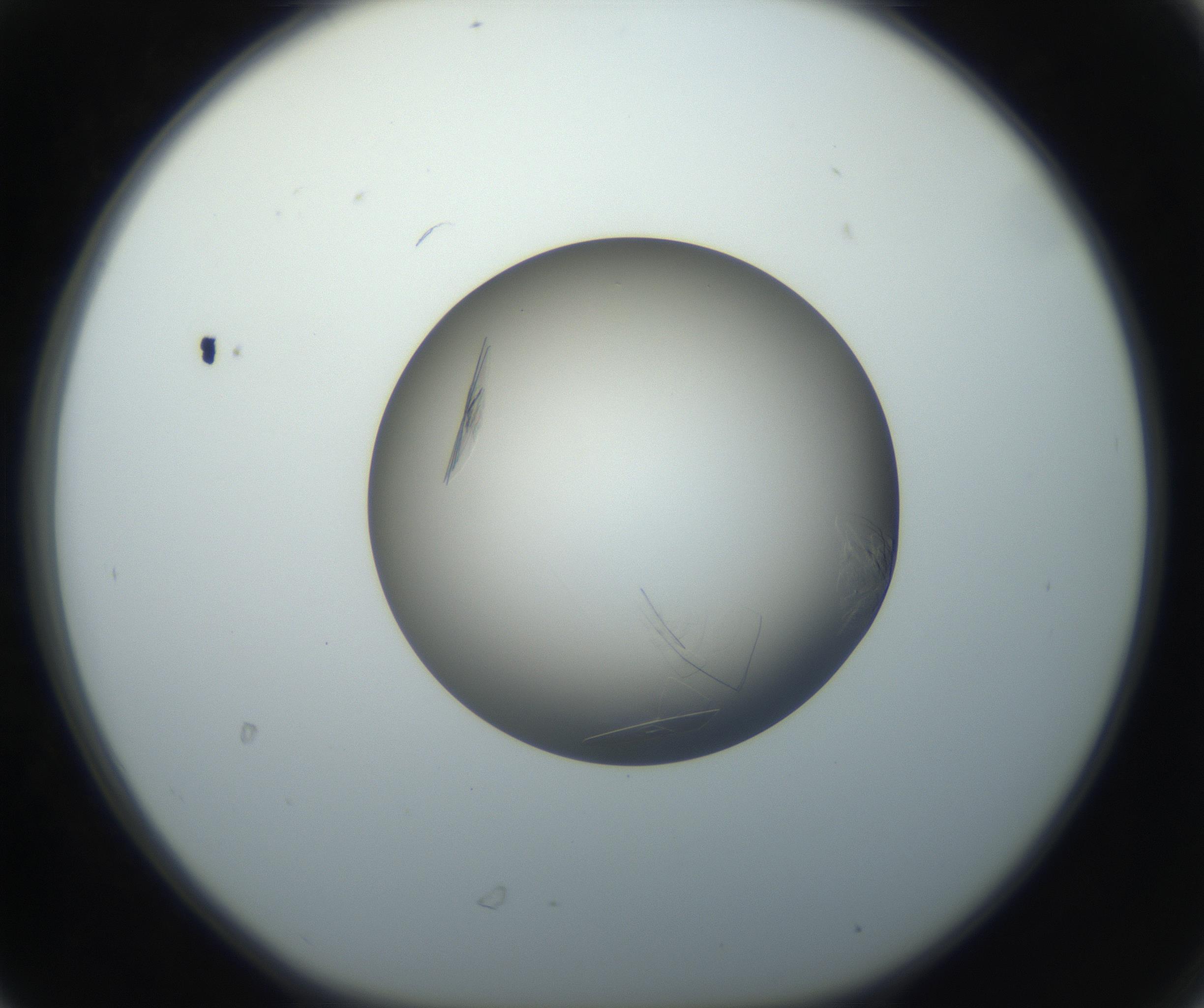 RI01_03_000_0212_Proj1_Clon1_MC_0000MC102716_004_160921_06_03_01_00_99_002_001_RAI.jpg
