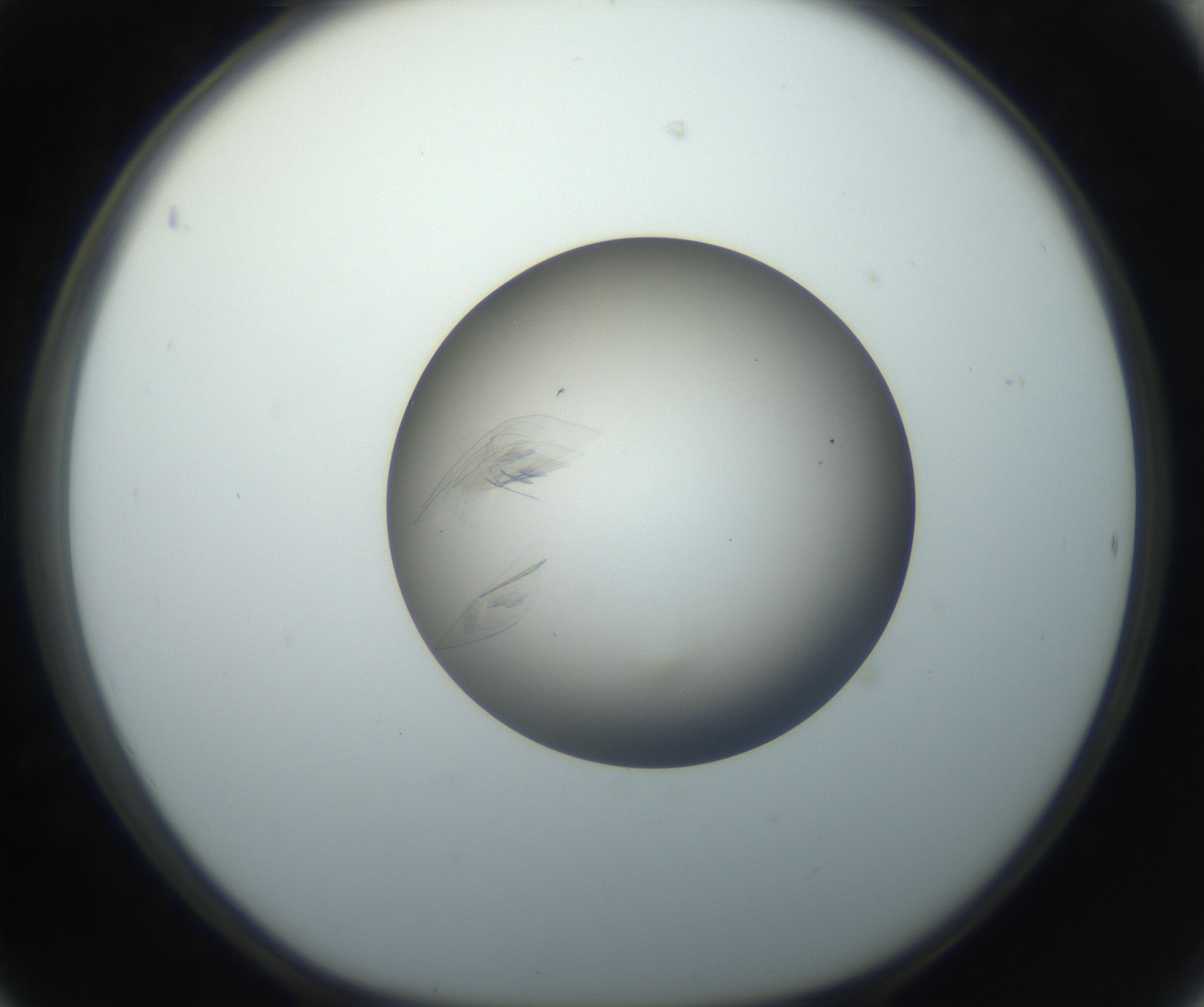 RI01_03_000_0212_Proj1_Clon1_MC_0000MC102716_004_160921_06_04_01_00_99_002_001_RAI.jpg