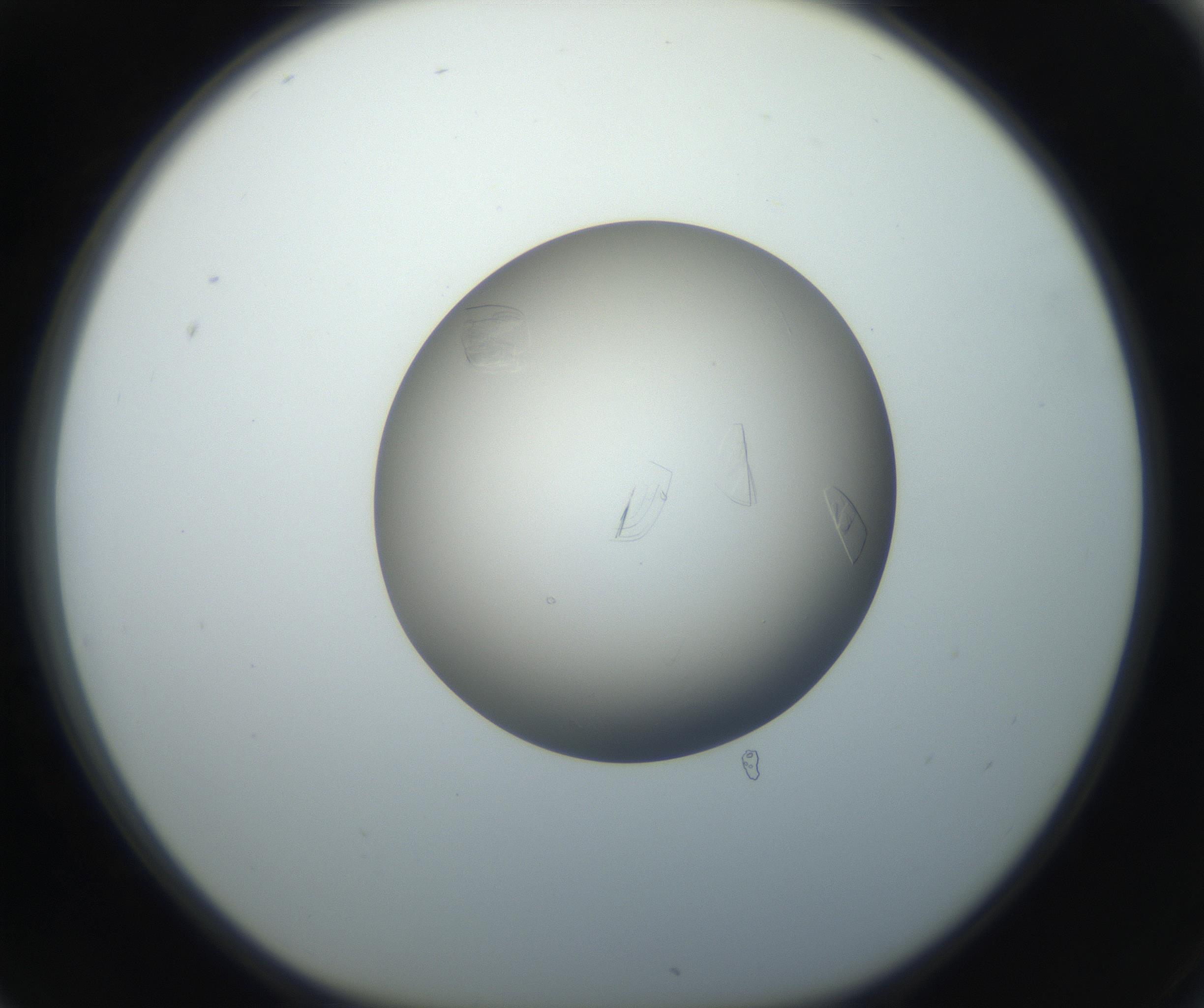 RI01_03_000_0212_Proj1_Clon1_MC_0000MC102716_004_160921_06_07_01_00_99_002_001_RAI.jpg