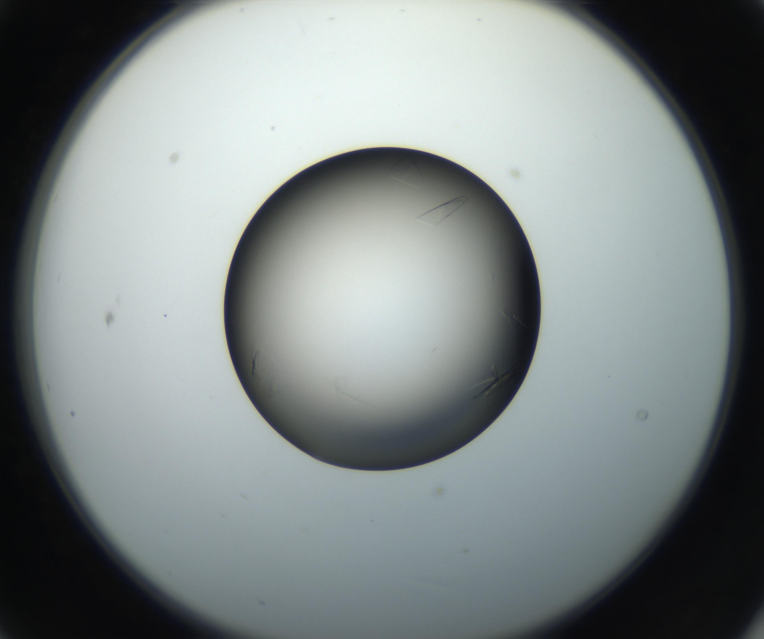 RI01_03_000_0212_Proj1_Clon1_MC_0000MC102716_004_160921_09_02_02_00_99_002_001_RAI.jpg