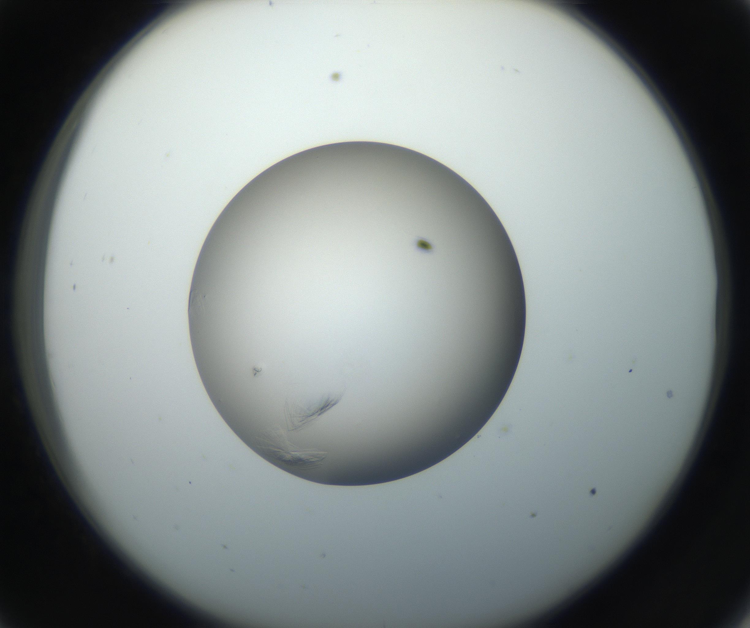 RI01_03_000_0212_Proj1_Clon1_MC_0000MC102716_004_160921_09_03_02_00_99_002_001_RAI.jpg