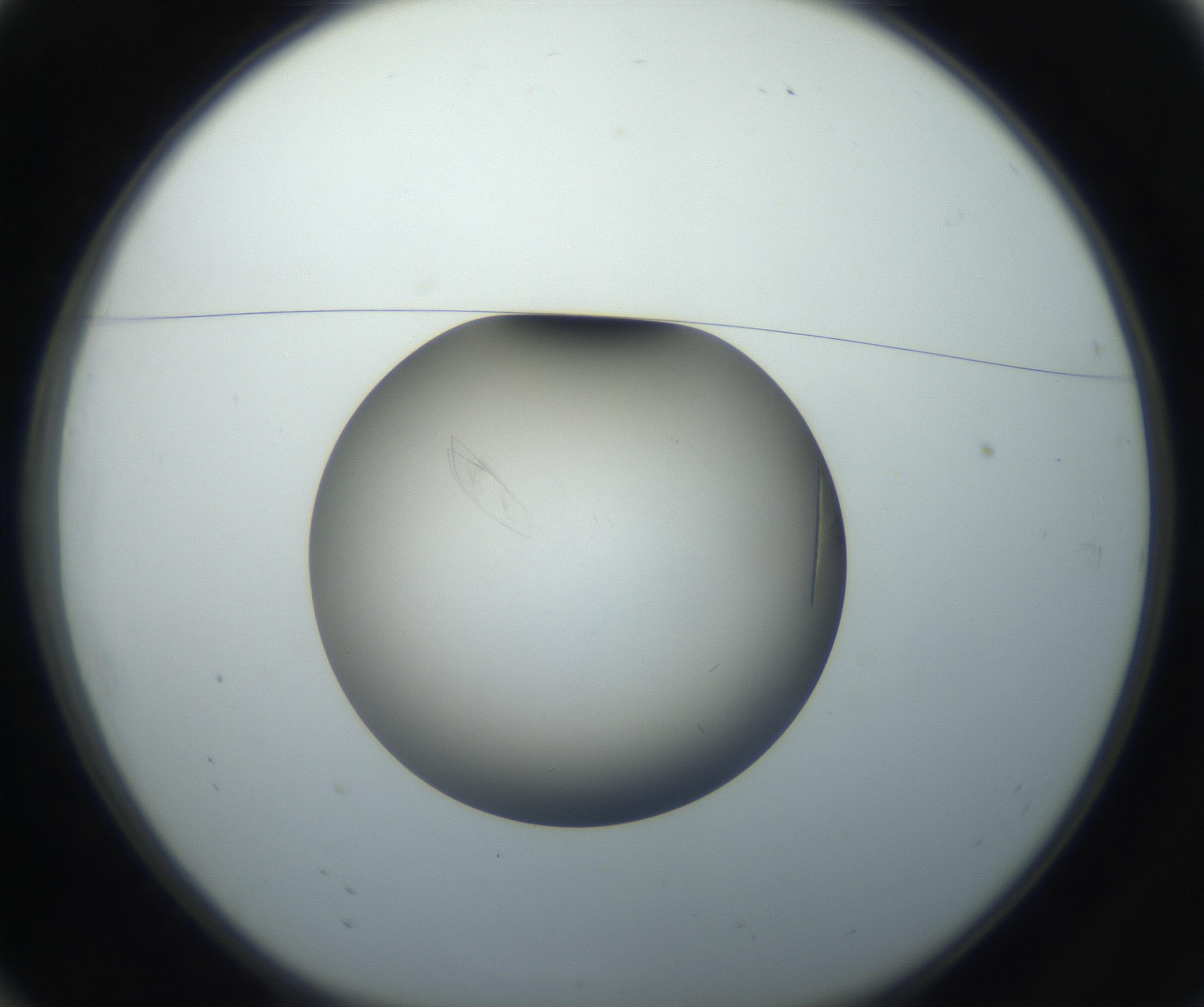 RI01_03_000_0212_Proj1_Clon1_MC_0000MC102716_004_160921_10_01_01_00_99_002_001_RAI.jpg