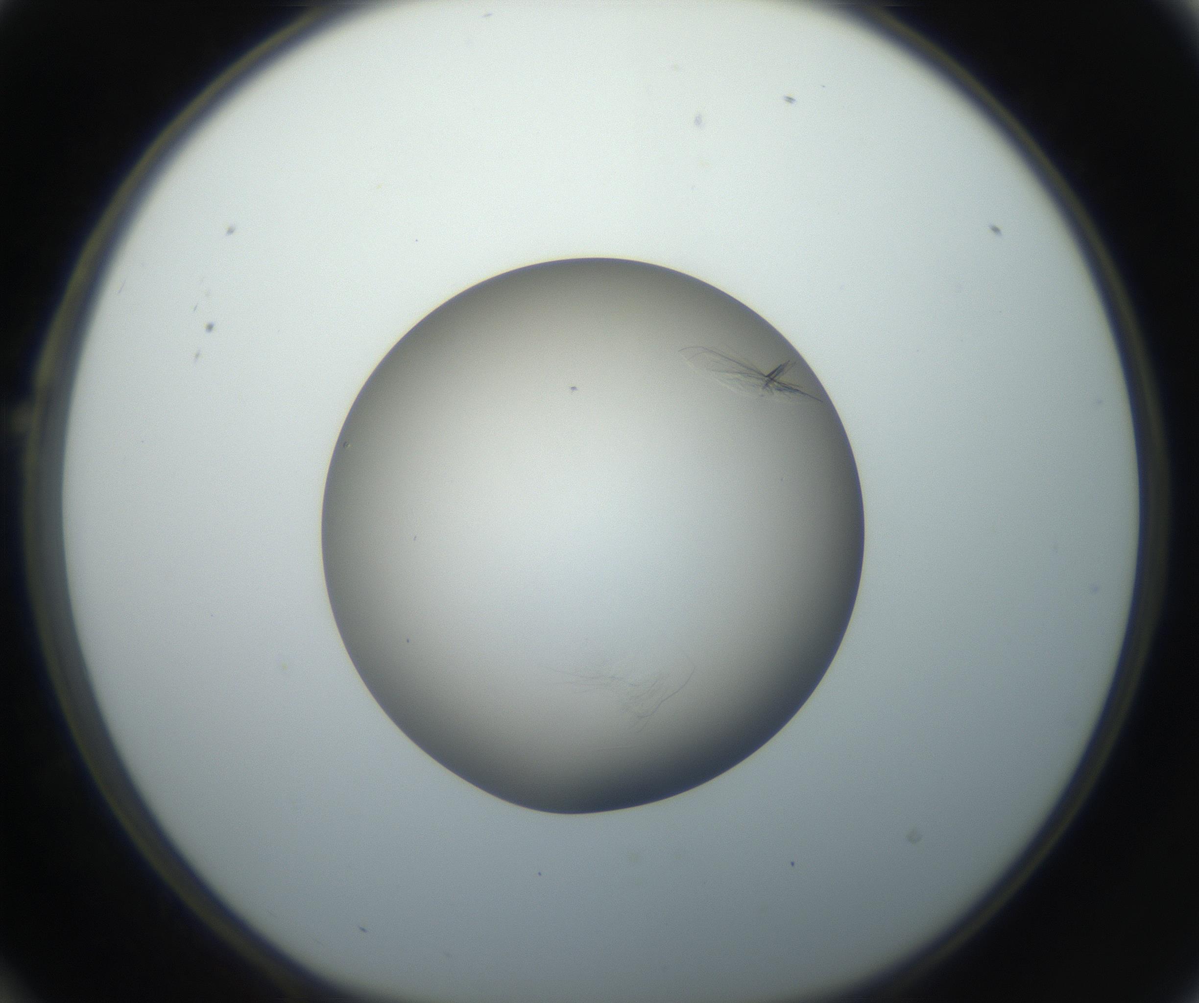 RI01_03_000_0212_Proj1_Clon1_MC_0000MC102716_004_160921_10_02_01_00_99_002_001_RAI.jpg