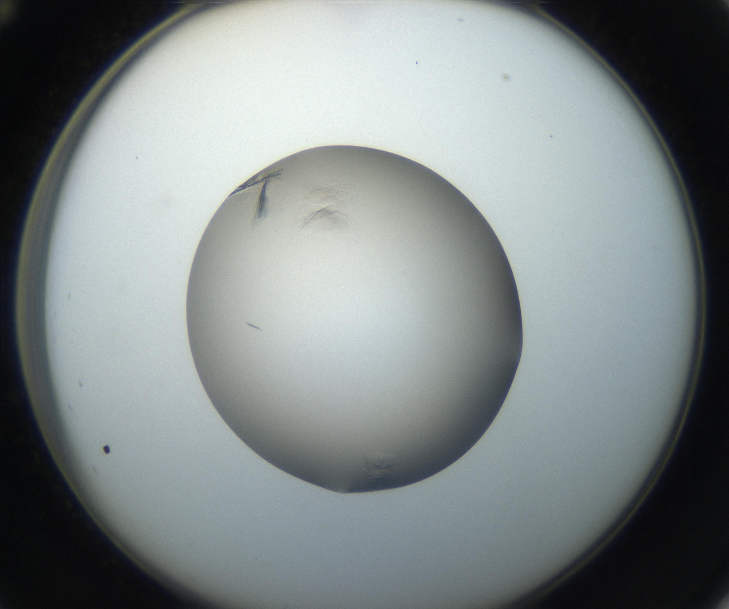RI01_03_000_0212_Proj1_Clon1_MC_0000MC102716_004_160921_12_04_02_00_99_002_001_RAI.jpg