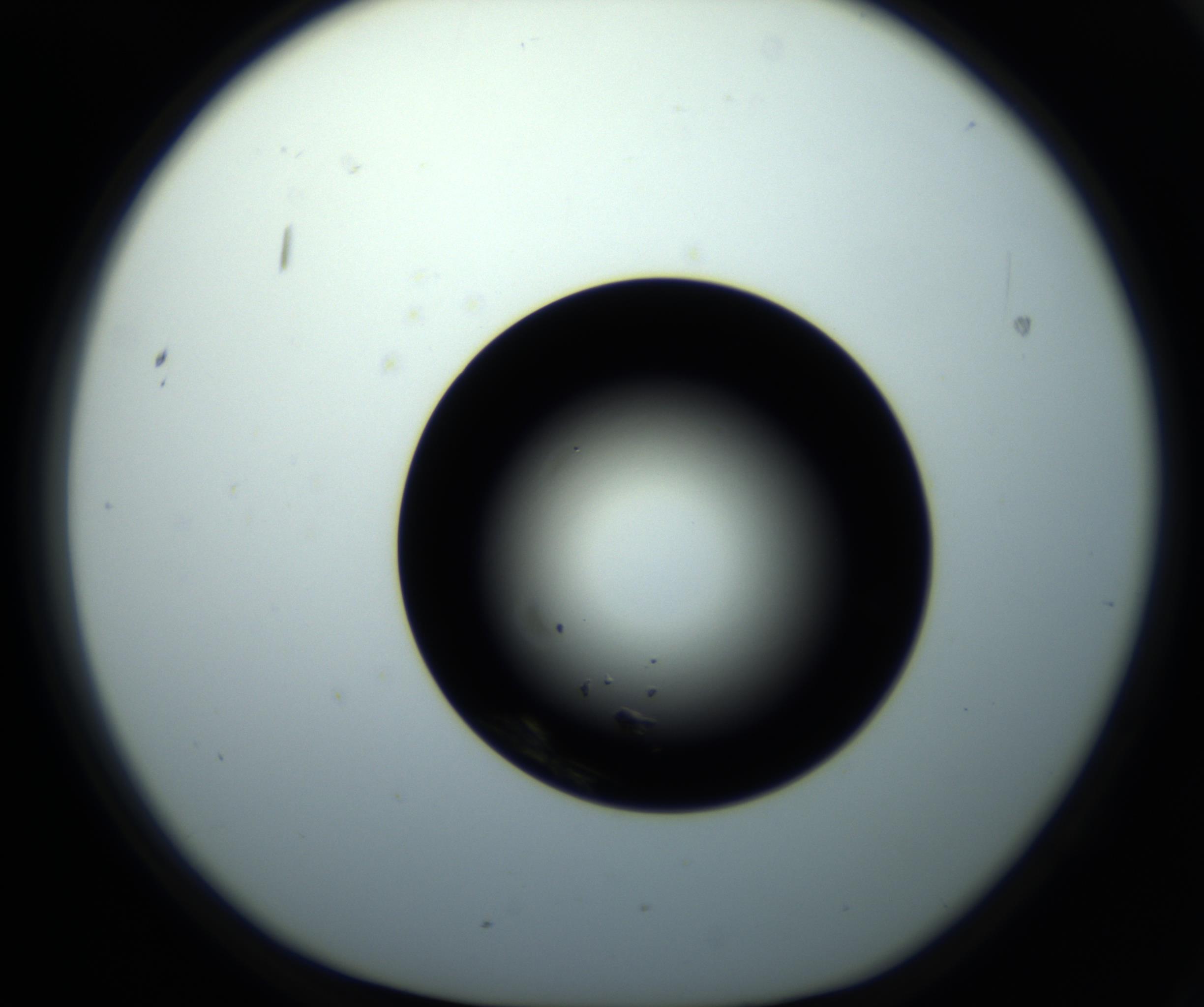 RI01_03_000_0212_Proj1_Clon1_MC_0000MC102716_008_161011_02_02_01_00_98_002_001_RAI.jpg