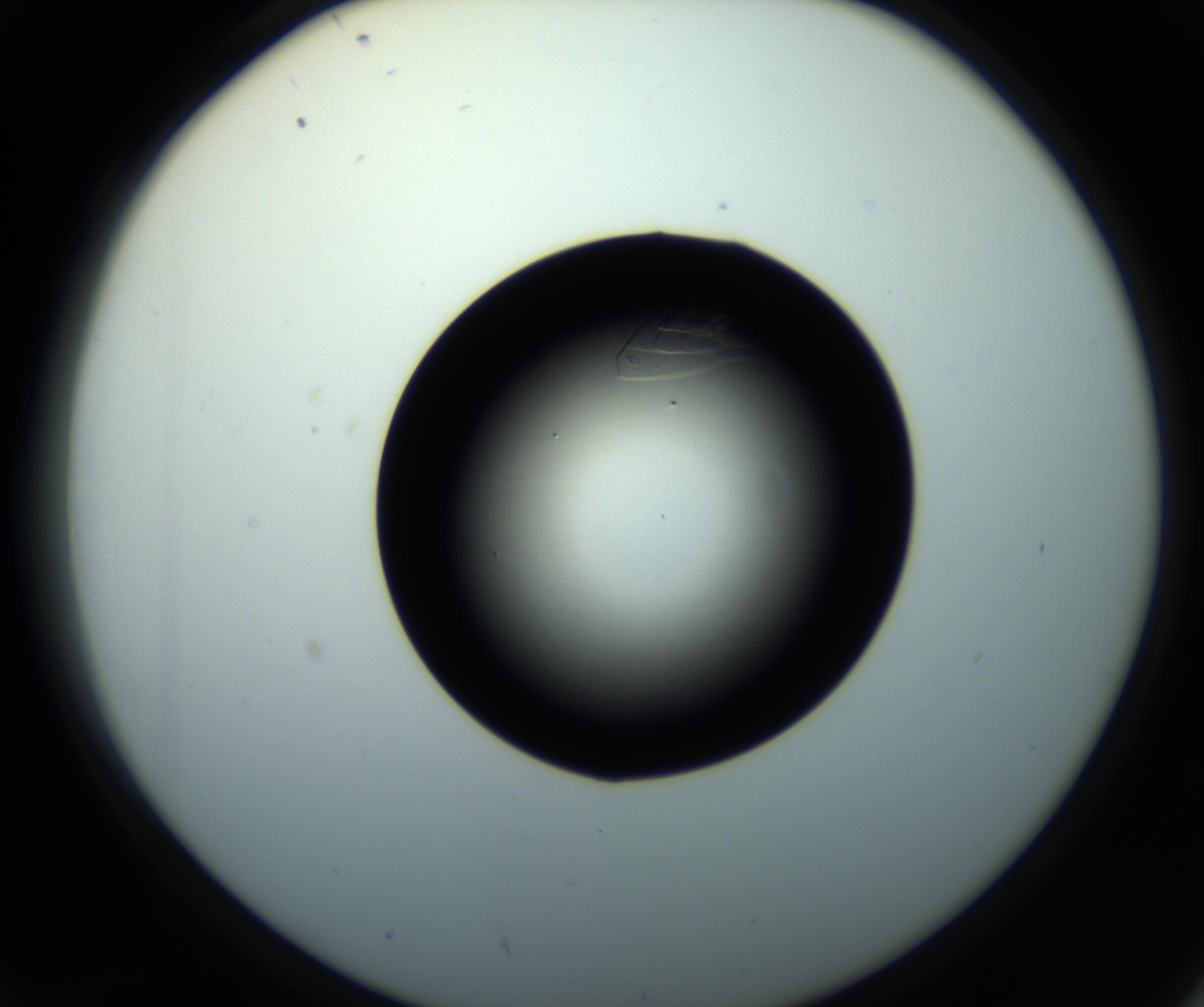 RI01_03_000_0212_Proj1_Clon1_MC_0000MC102716_008_161011_02_04_02_00_98_002_001_RAI.jpg