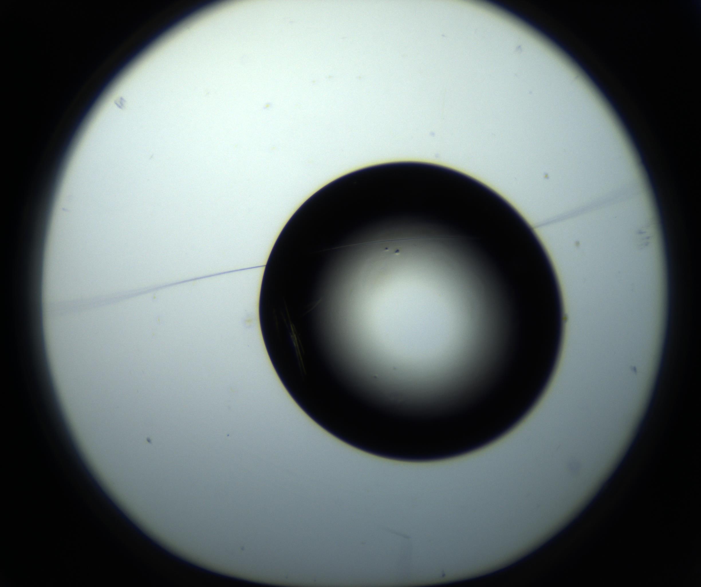RI01_03_000_0212_Proj1_Clon1_MC_0000MC102716_008_161011_03_01_01_00_98_002_001_RAI.jpg
