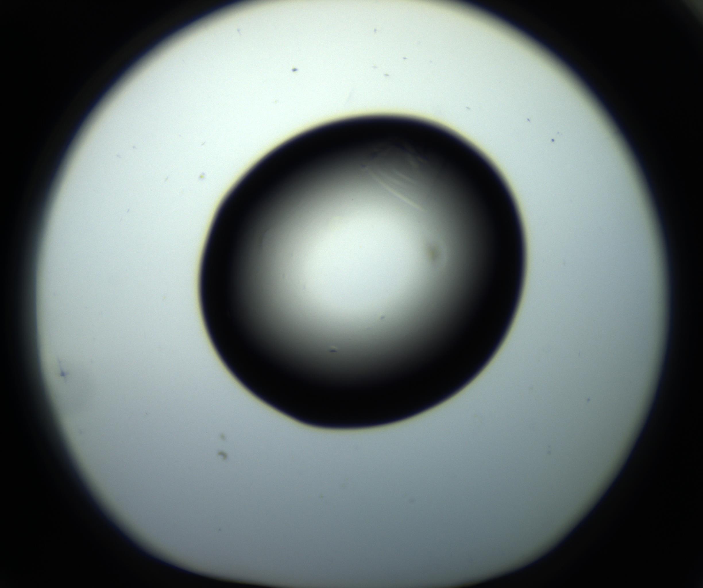 RI01_03_000_0212_Proj1_Clon1_MC_0000MC102716_008_161011_05_08_01_00_98_002_001_RAI.jpg