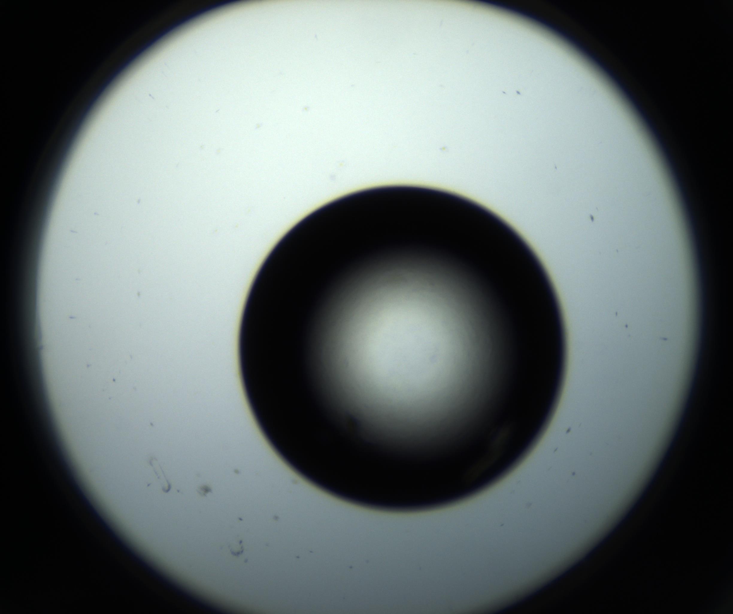 RI01_03_000_0212_Proj1_Clon1_MC_0000MC102716_008_161011_06_01_02_00_98_002_001_RAI.jpg