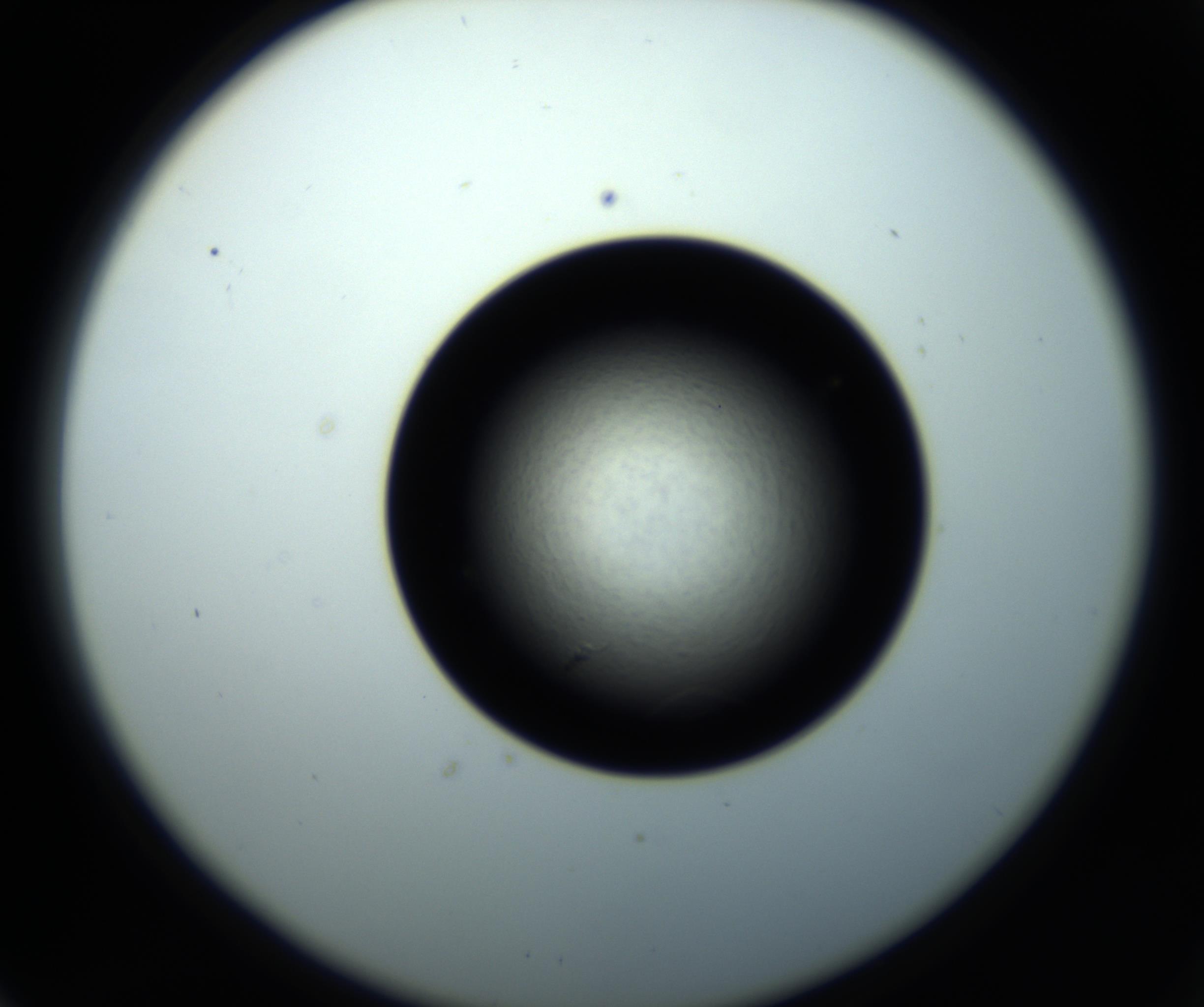 RI01_03_000_0212_Proj1_Clon1_MC_0000MC102716_008_161011_06_06_02_00_98_002_001_RAI.jpg