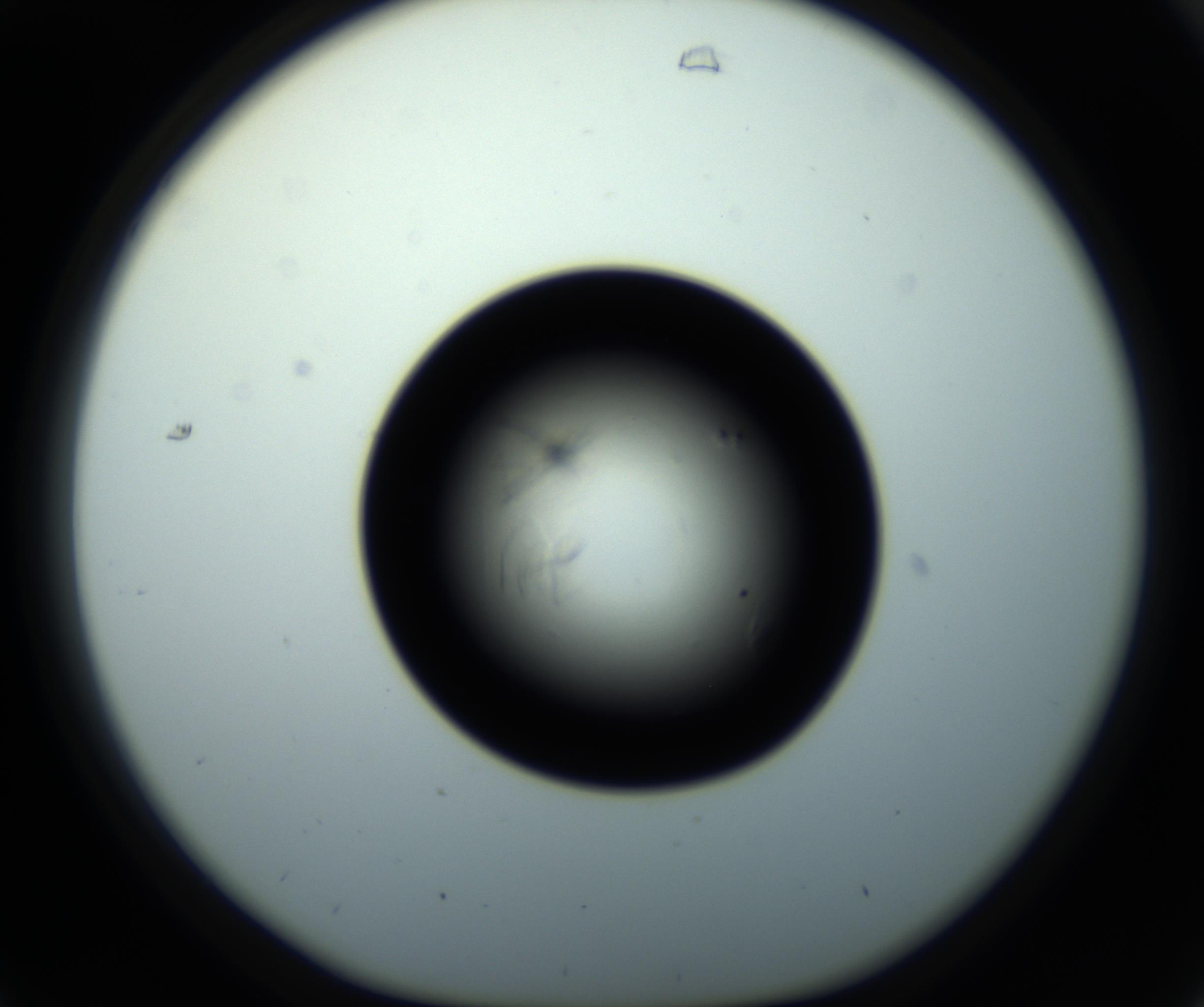 RI01_03_000_0212_Proj1_Clon1_MC_0000MC102716_008_161011_07_03_01_00_98_002_001_RAI.jpg