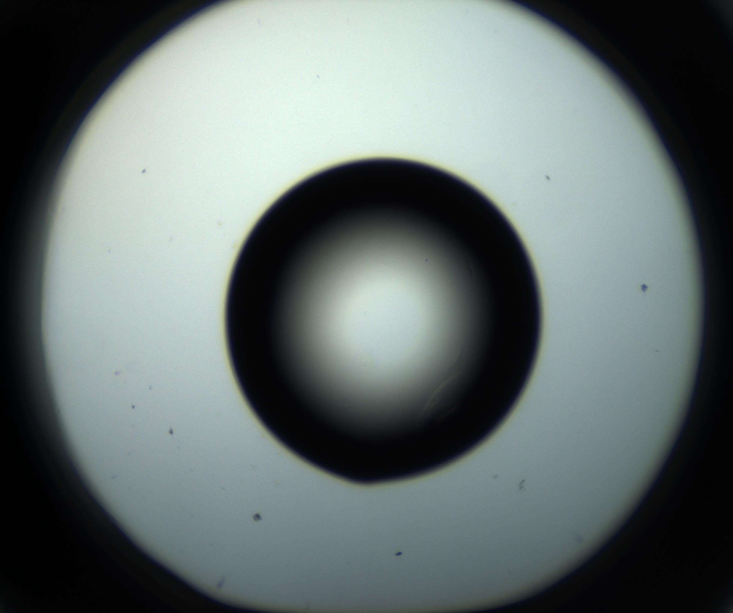 RI01_03_000_0212_Proj1_Clon1_MC_0000MC102716_008_161011_07_04_01_00_98_002_001_RAI.jpg