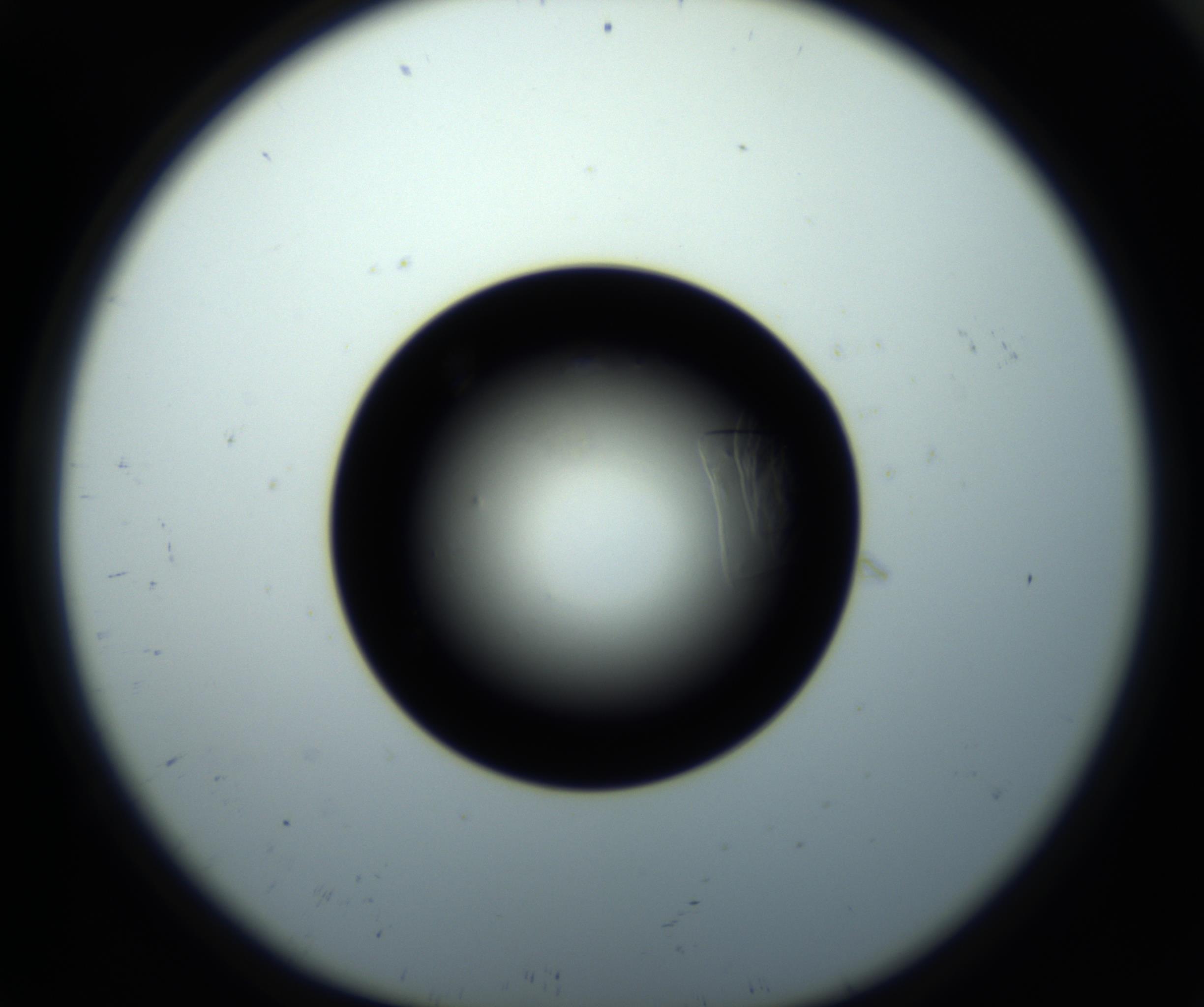 RI01_03_000_0212_Proj1_Clon1_MC_0000MC102716_008_161011_09_01_01_00_98_002_001_RAI.jpg