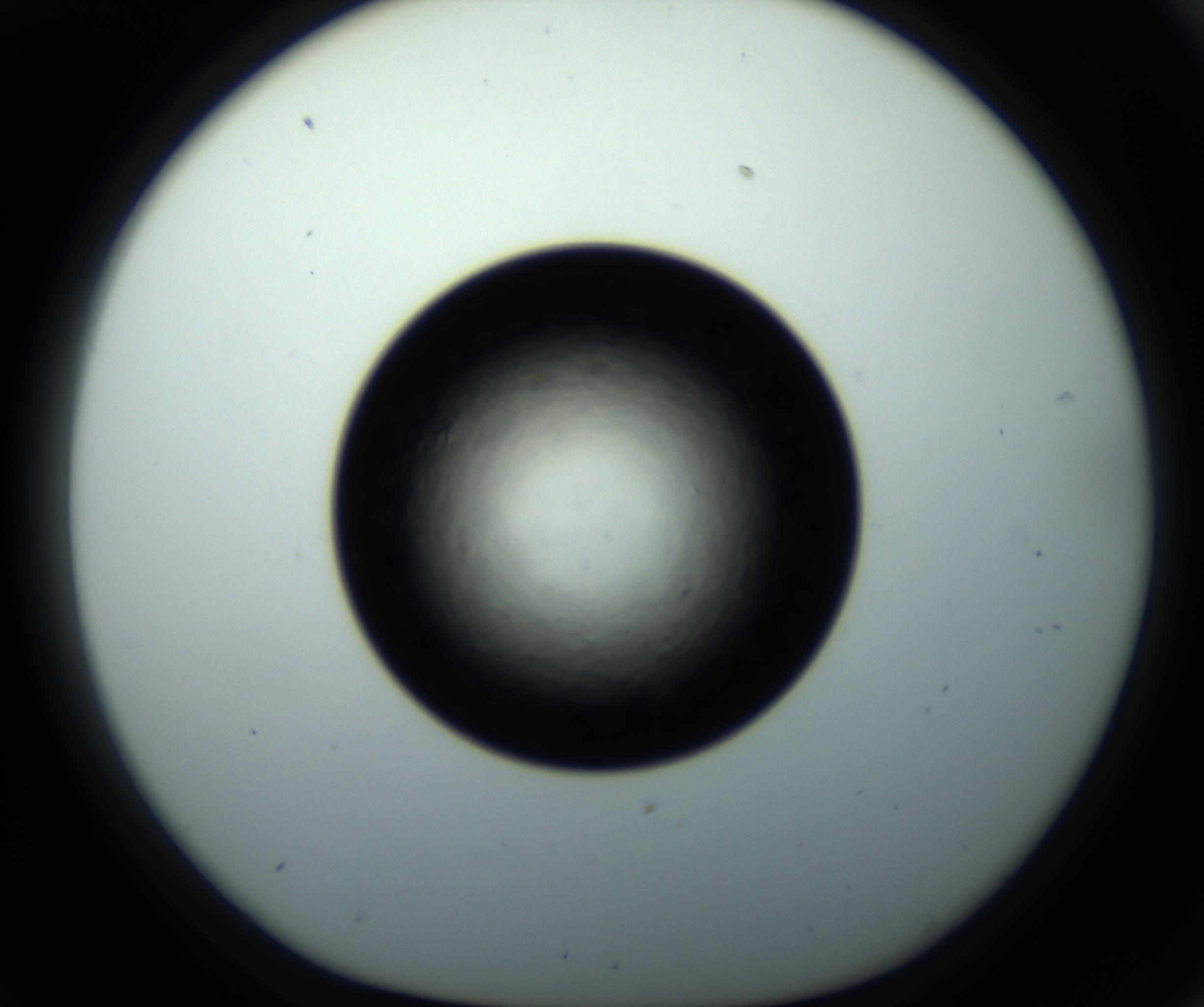 RI01_03_000_0212_Proj1_Clon1_MC_0000MC102716_008_161011_09_03_01_00_98_002_001_RAI.jpg