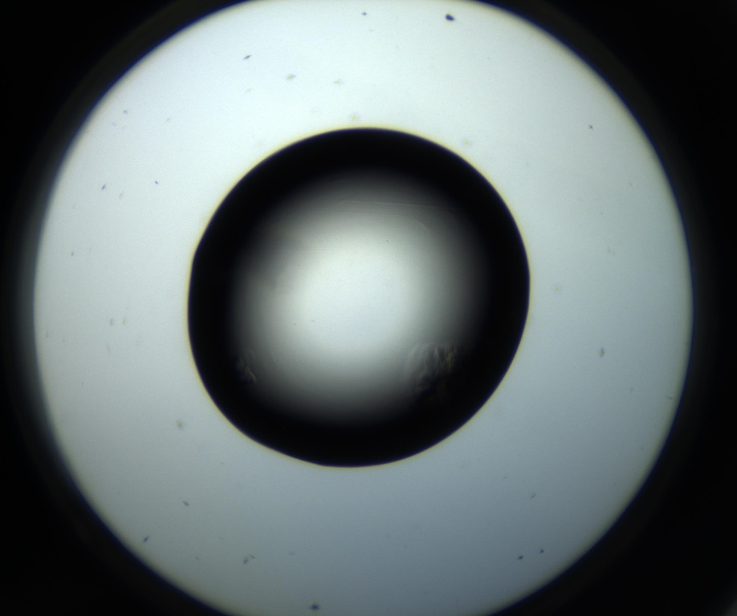 RI01_03_000_0212_Proj1_Clon1_MC_0000MC102716_008_161011_09_06_02_00_98_002_001_RAI.jpg