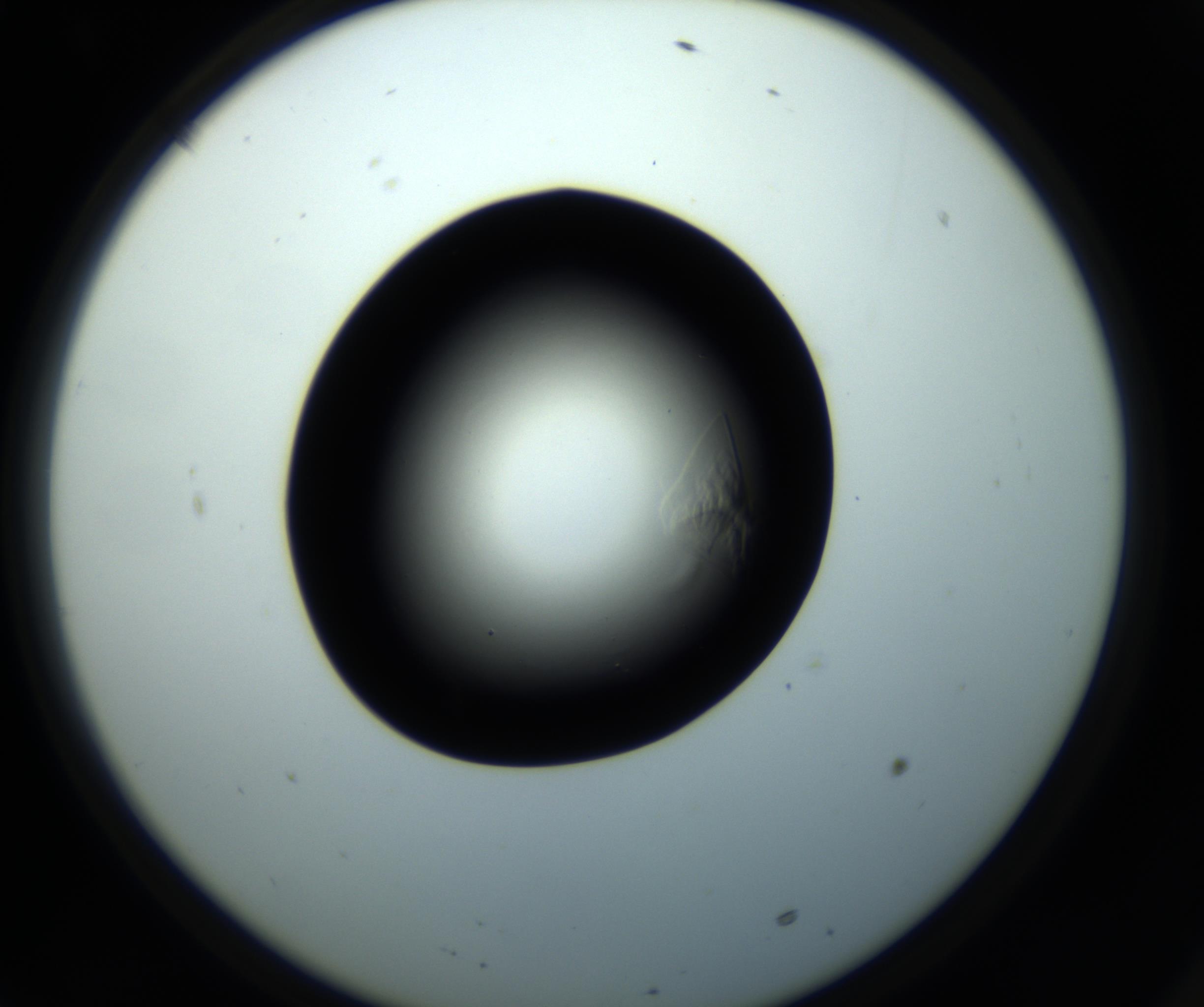 RI01_03_000_0212_Proj1_Clon1_MC_0000MC102716_008_161011_10_06_02_00_98_002_001_RAI.jpg