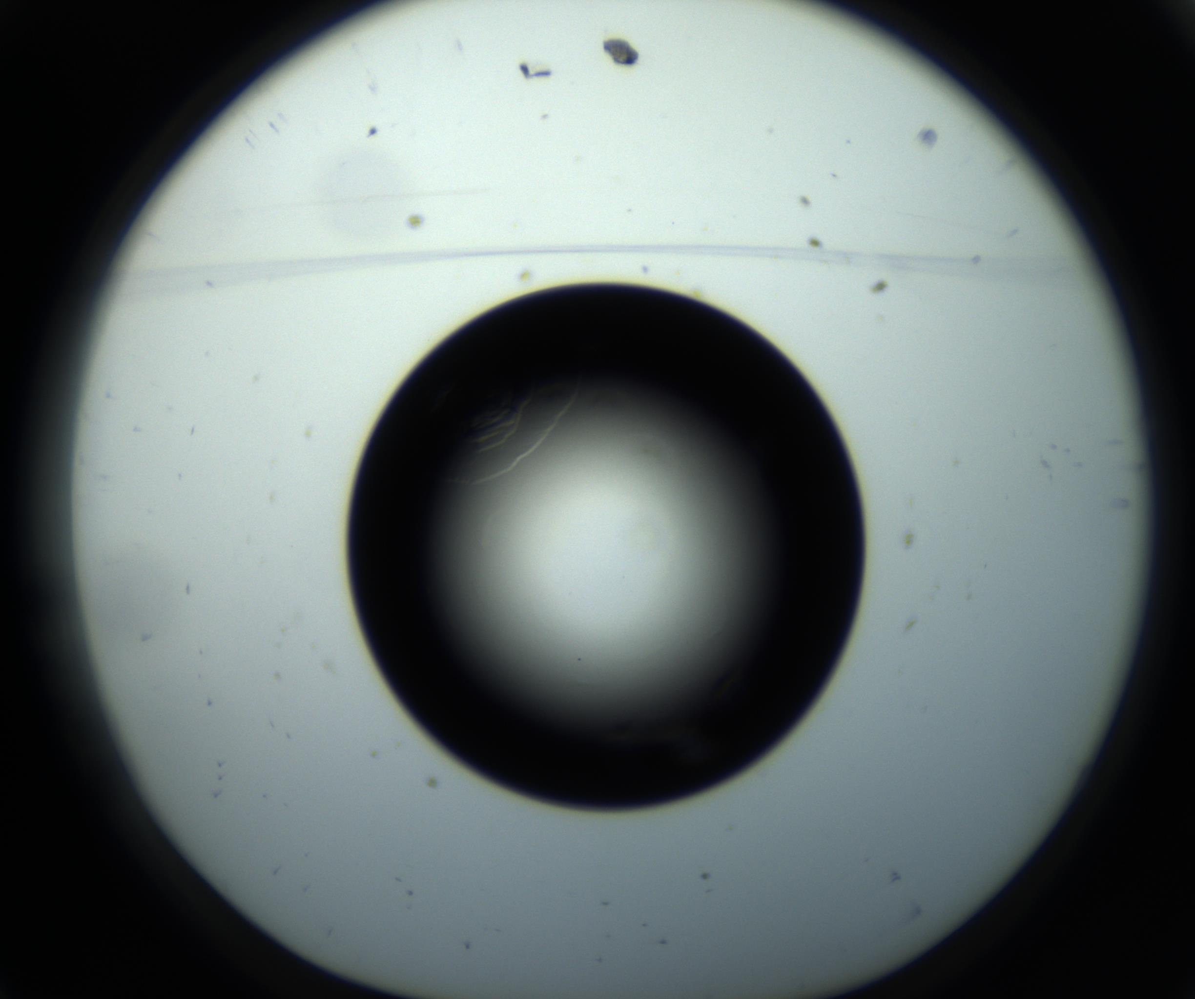 RI01_03_000_0212_Proj1_Clon1_MC_0000MC102716_008_161011_11_01_01_00_98_002_001_RAI.jpg