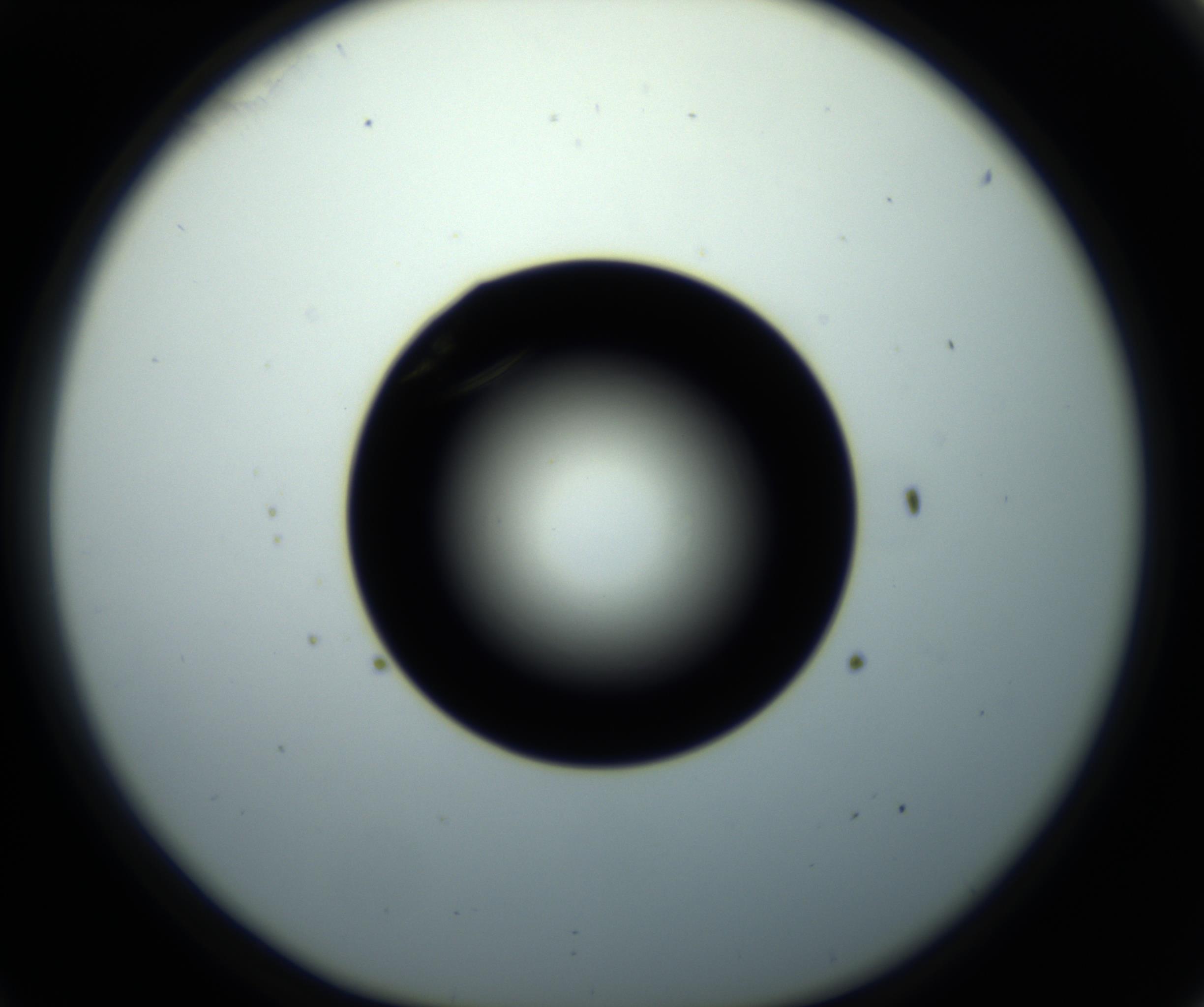 RI01_03_000_0212_Proj1_Clon1_MC_0000MC102716_008_161011_11_03_01_00_98_002_001_RAI.jpg