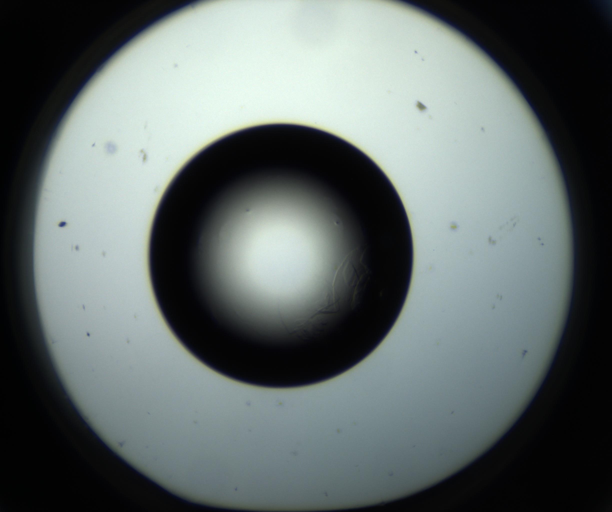 RI01_03_000_0212_Proj1_Clon1_MC_0000MC102716_008_161011_11_05_01_00_98_002_001_RAI.jpg