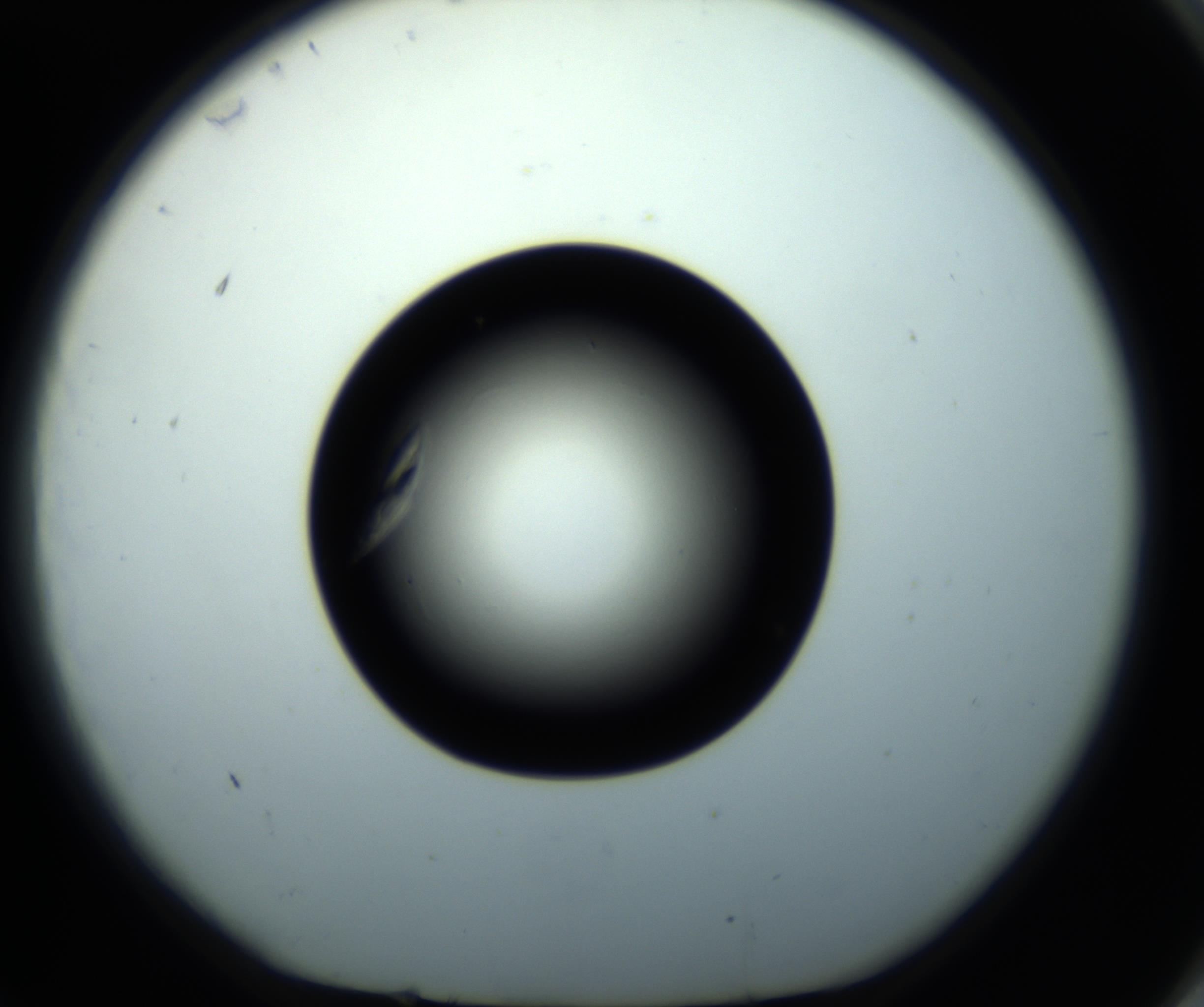 RI01_03_000_0212_Proj1_Clon1_MC_0000MC102716_008_161011_11_07_01_00_98_002_001_RAI.jpg