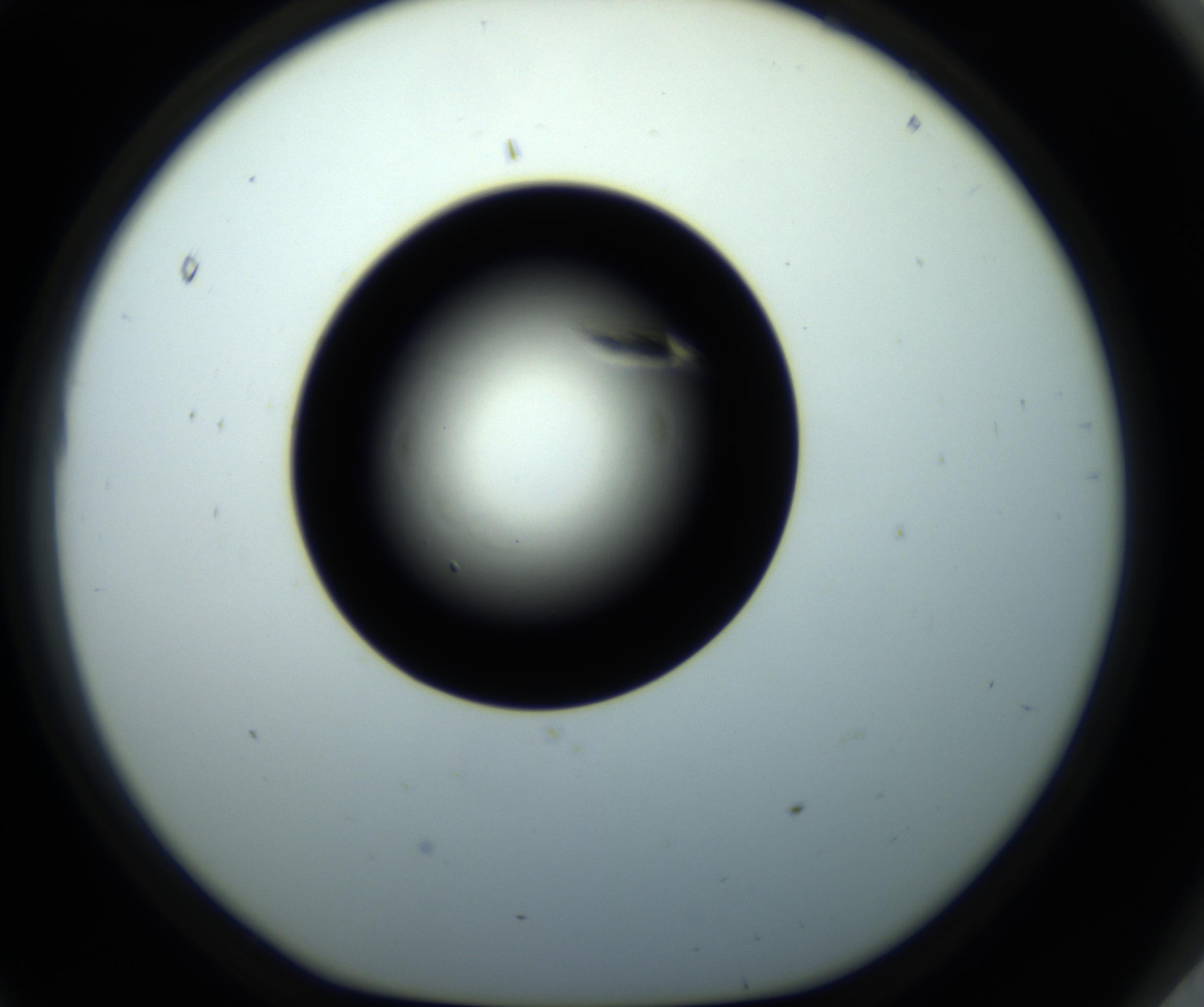 RI01_03_000_0212_Proj1_Clon1_MC_0000MC102716_008_161011_11_08_01_00_98_002_001_RAI.jpg