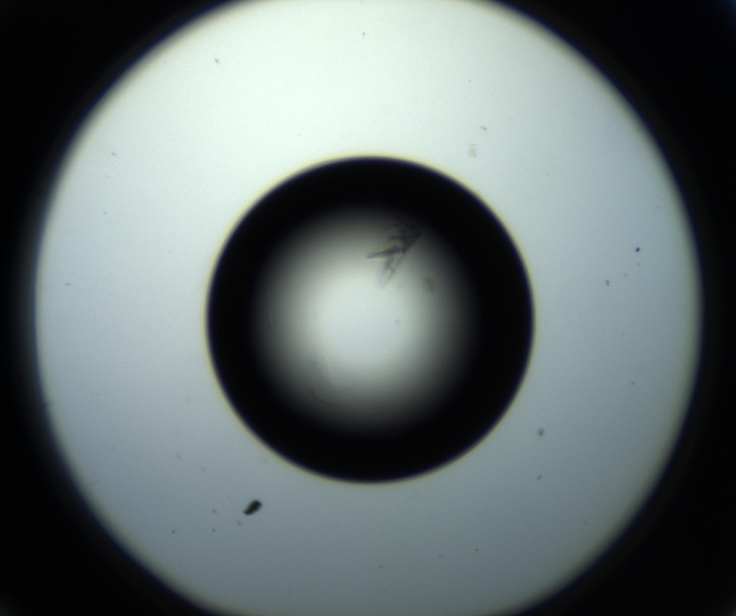 RI01_03_000_0212_Proj1_Clon1_MC_0000MC102716_008_161011_12_03_01_00_98_002_001_RAI.jpg
