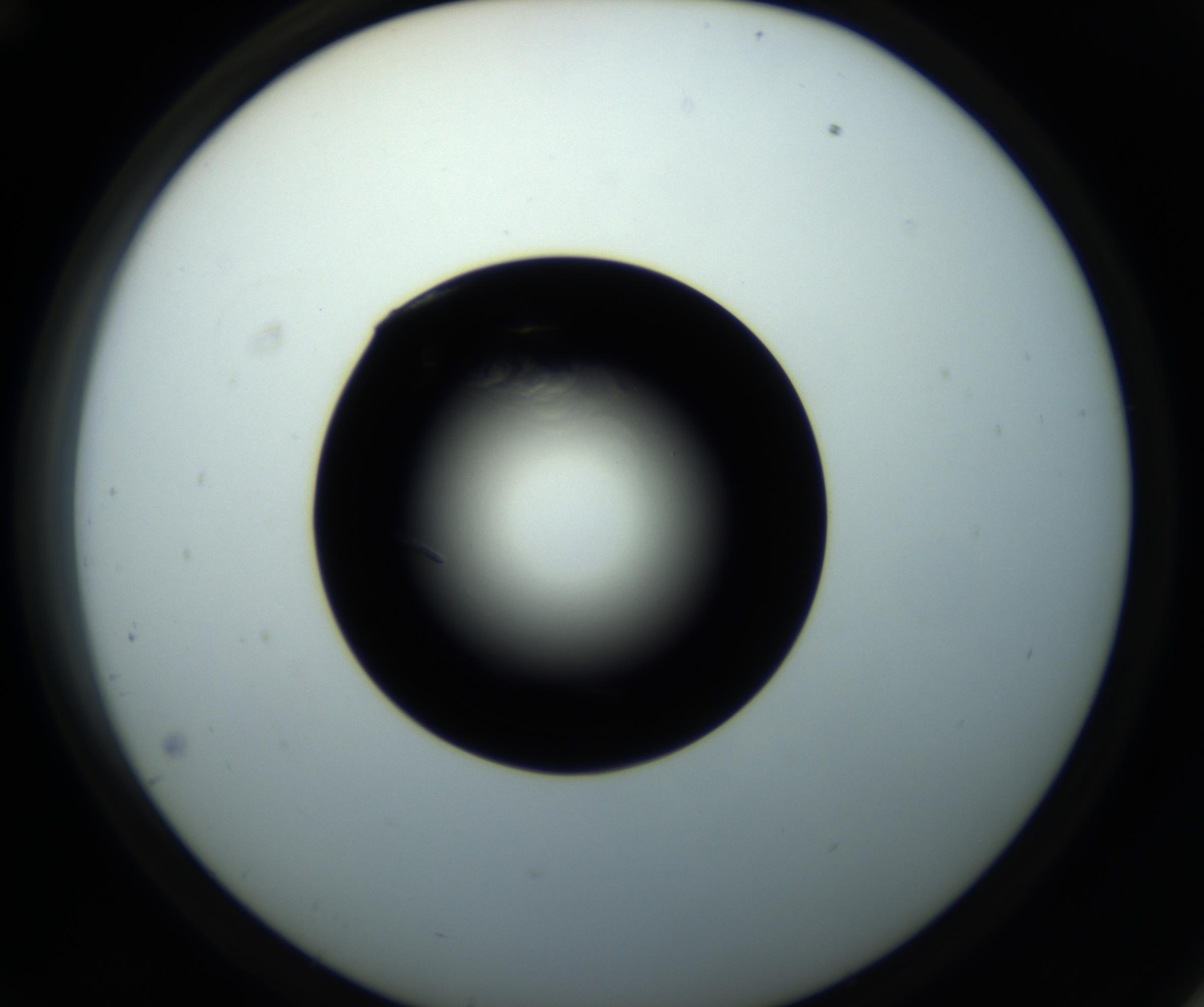 RI01_03_000_0212_Proj1_Clon1_MC_0000MC102716_008_161011_12_04_02_00_98_002_001_RAI.jpg