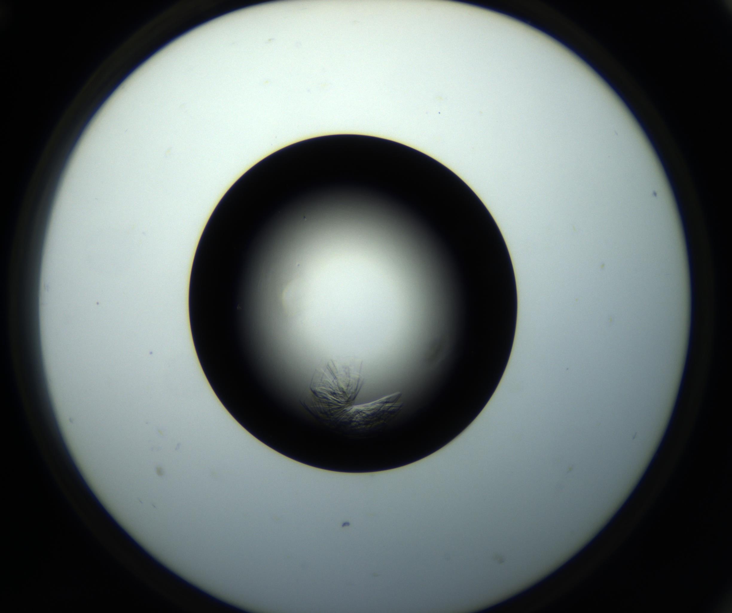 RI01_03_000_0212_Proj1_Clon1_MC_0000MC102716_008_161011_12_06_02_00_98_002_001_RAI.jpg