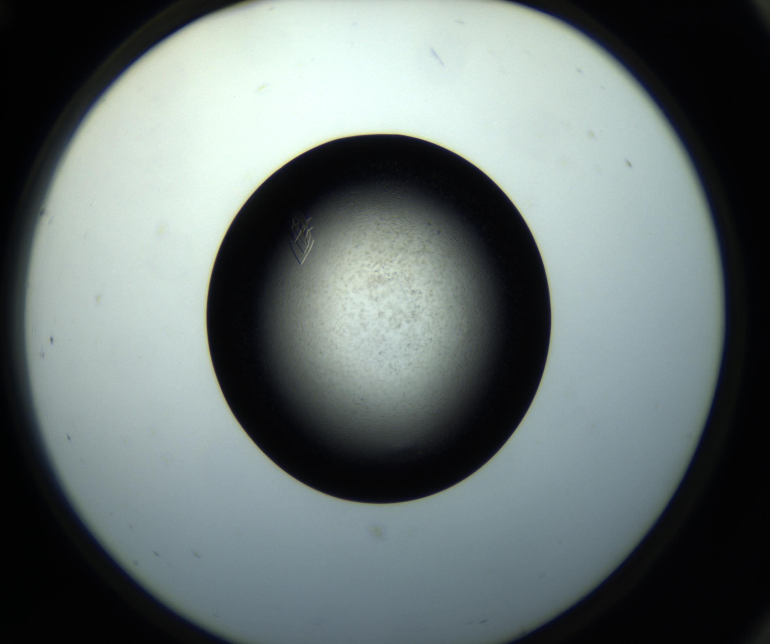 RI01_03_000_0212_Proj1_Clon1_MC_0000MC102716_008_161011_12_07_02_00_98_002_001_RAI.jpg
