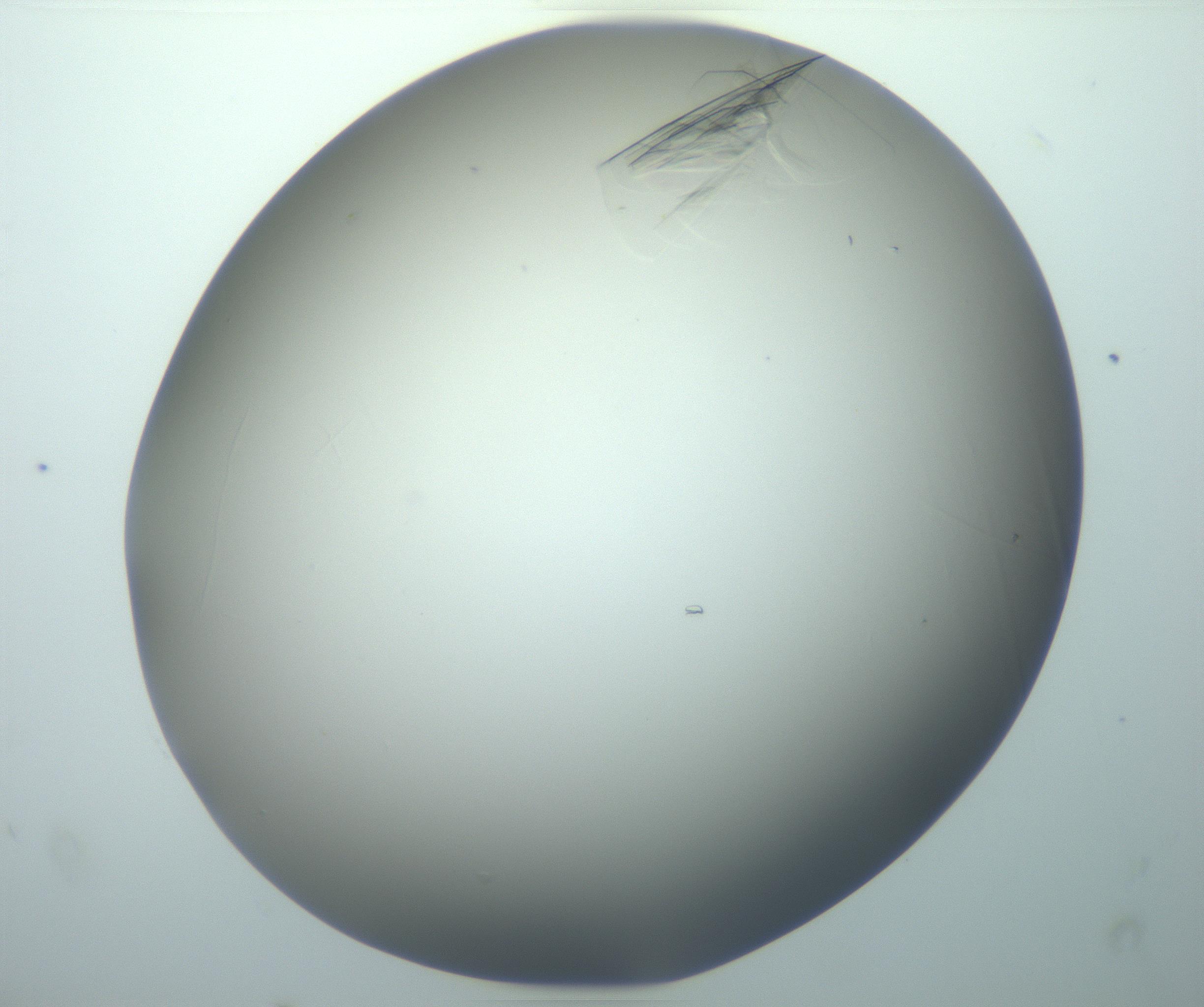 RI01_03_000_0212_Proj1_Clon1_MC_0000MC102716_014_161122_03_08_02_00_99_002_001_RAI.jpg