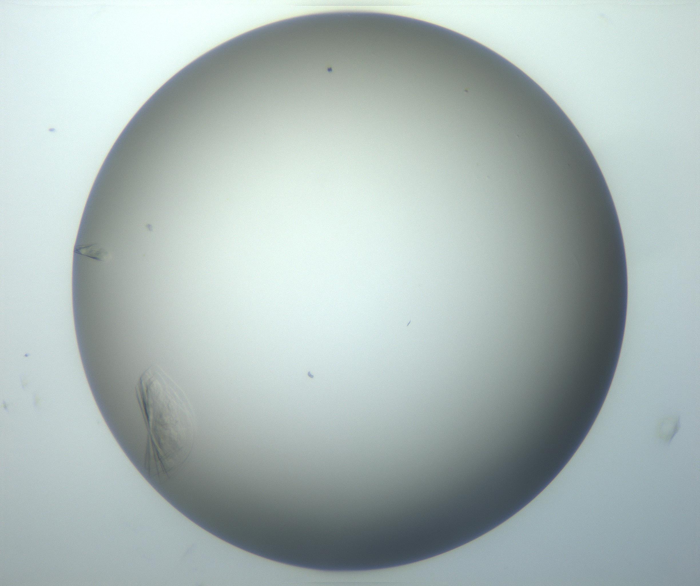 RI01_03_000_0212_Proj1_Clon1_MC_0000MC102716_014_161122_08_05_02_00_99_002_001_RAI.jpg