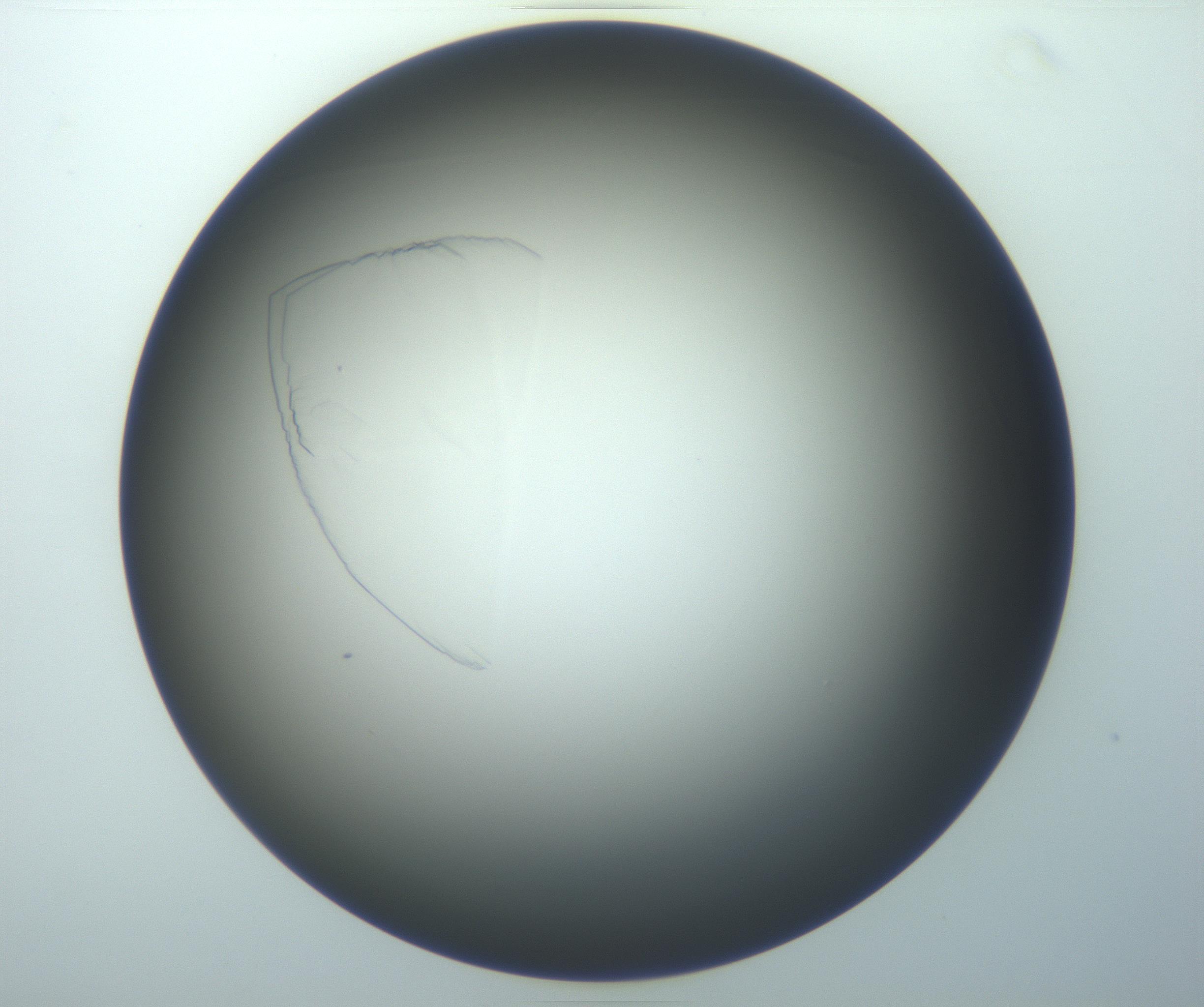 RI01_03_000_0212_Proj1_Clon1_MC_0000MC102716_014_161122_08_06_01_00_99_002_001_RAI.jpg