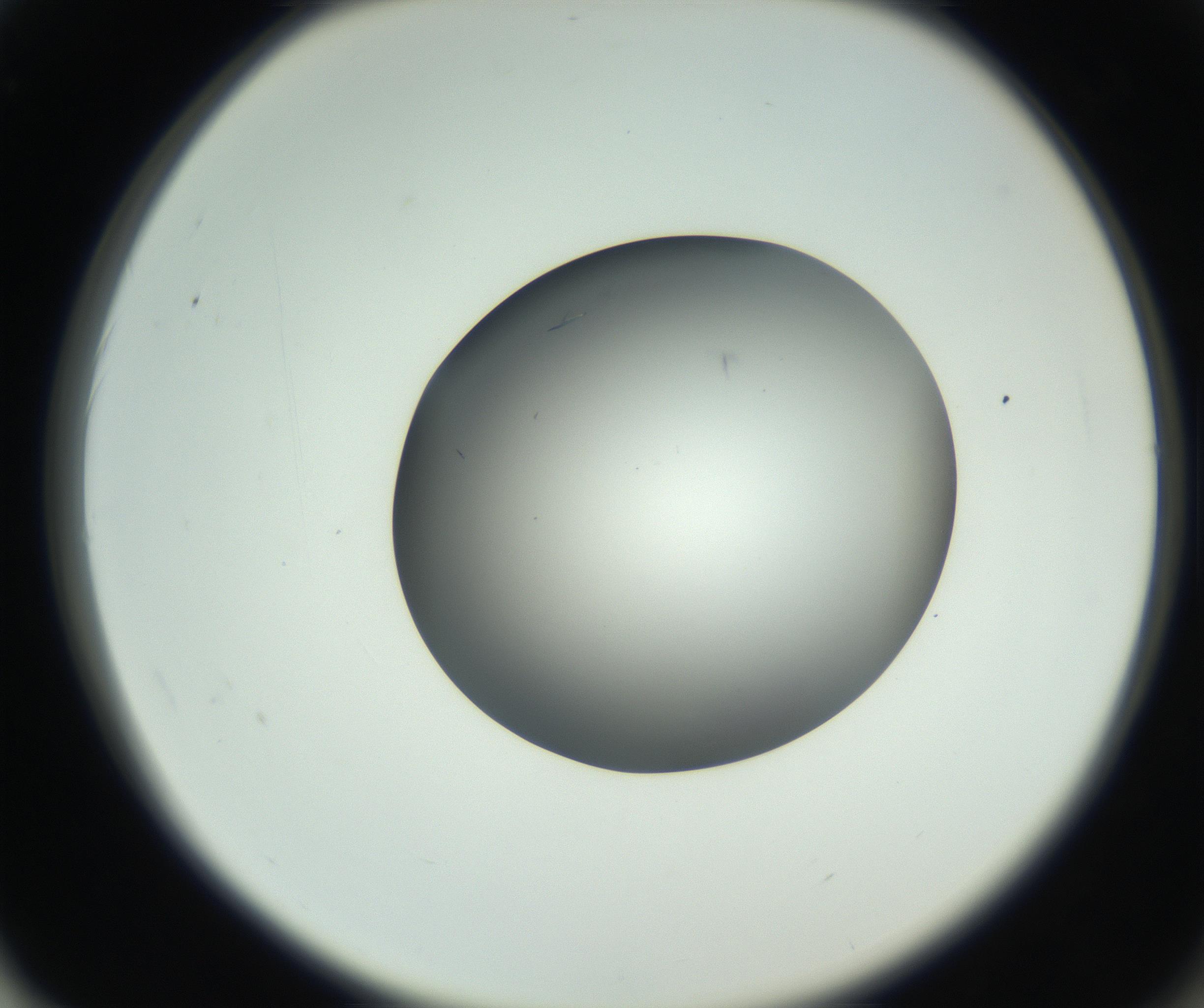 RI01_03_000_0212_Proj1_Clon1_MC_0000MC102717_002_160914_02_06_02_00_99_002_001_RAI.jpg