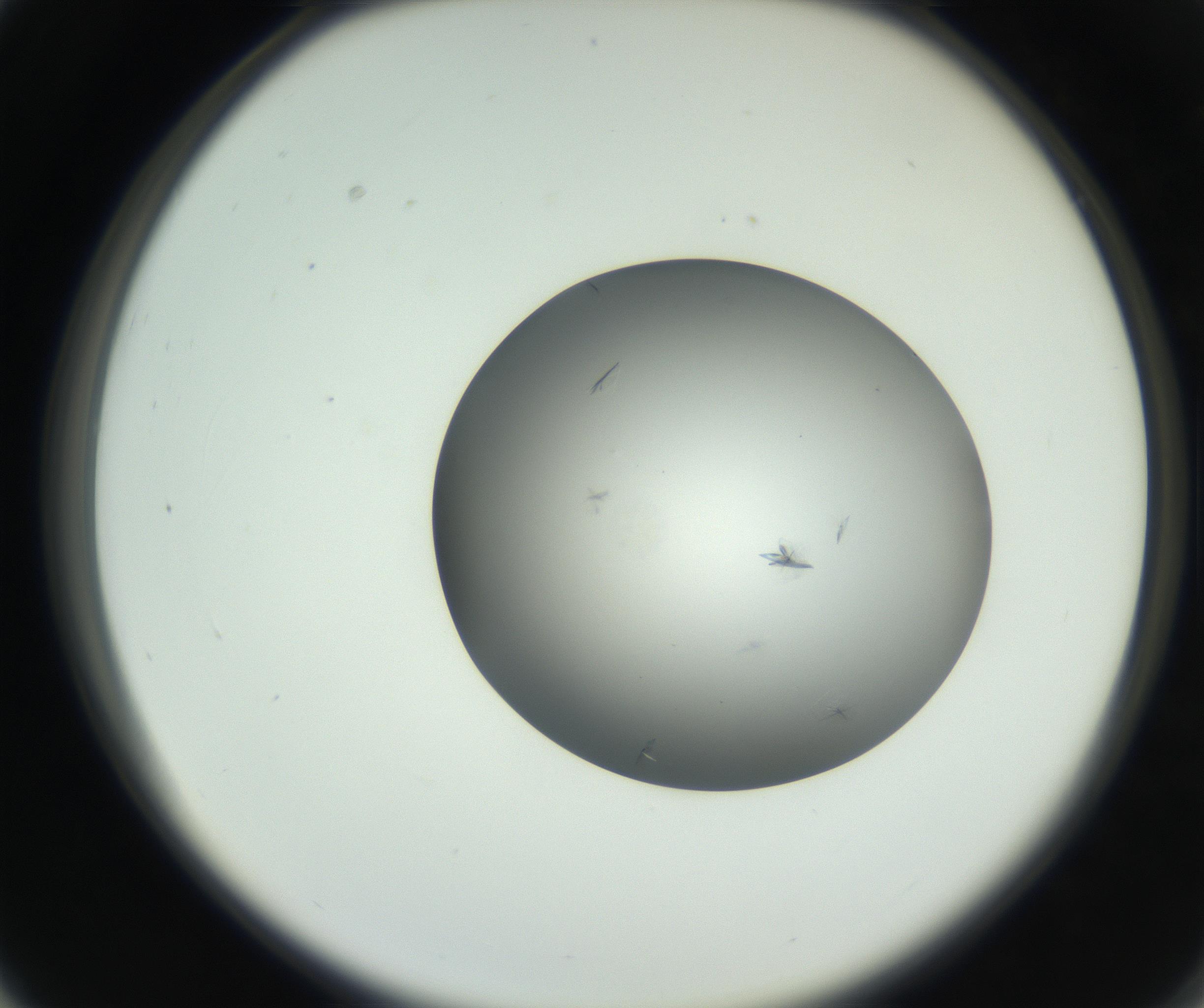 RI01_03_000_0212_Proj1_Clon1_MC_0000MC102717_002_160914_03_03_02_00_99_002_001_RAI.jpg