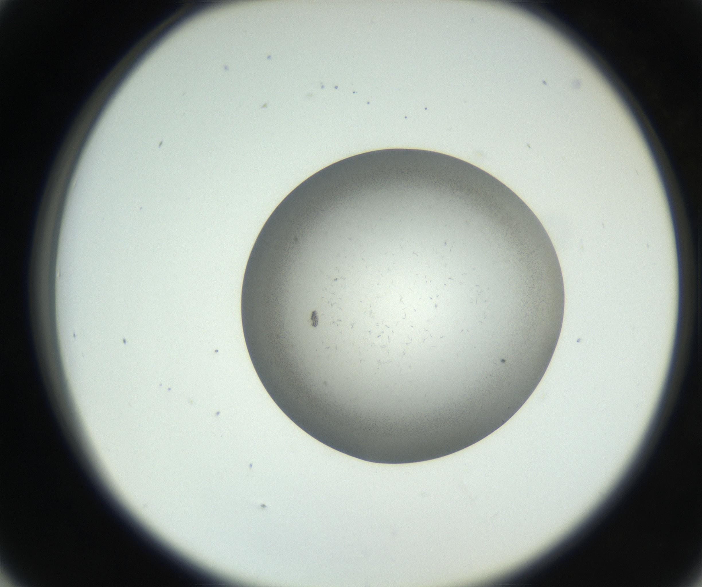 RI01_03_000_0212_Proj1_Clon1_MC_0000MC102717_002_160914_05_04_02_00_99_002_001_RAI.jpg
